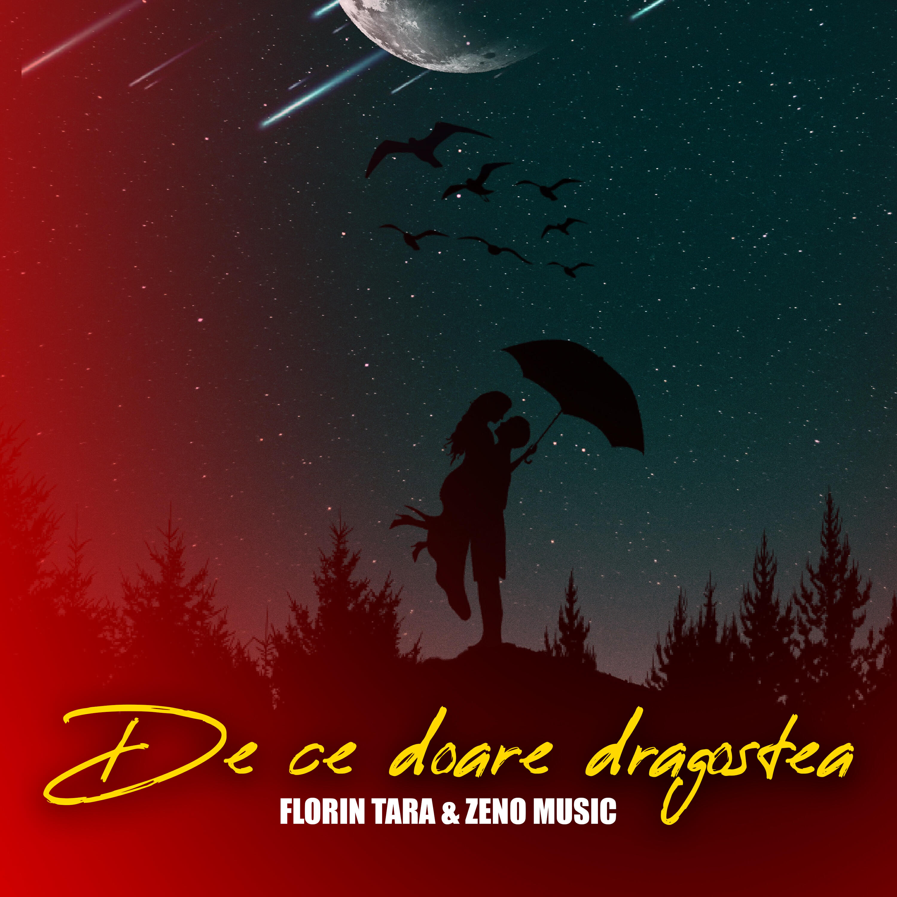 Florin Tara