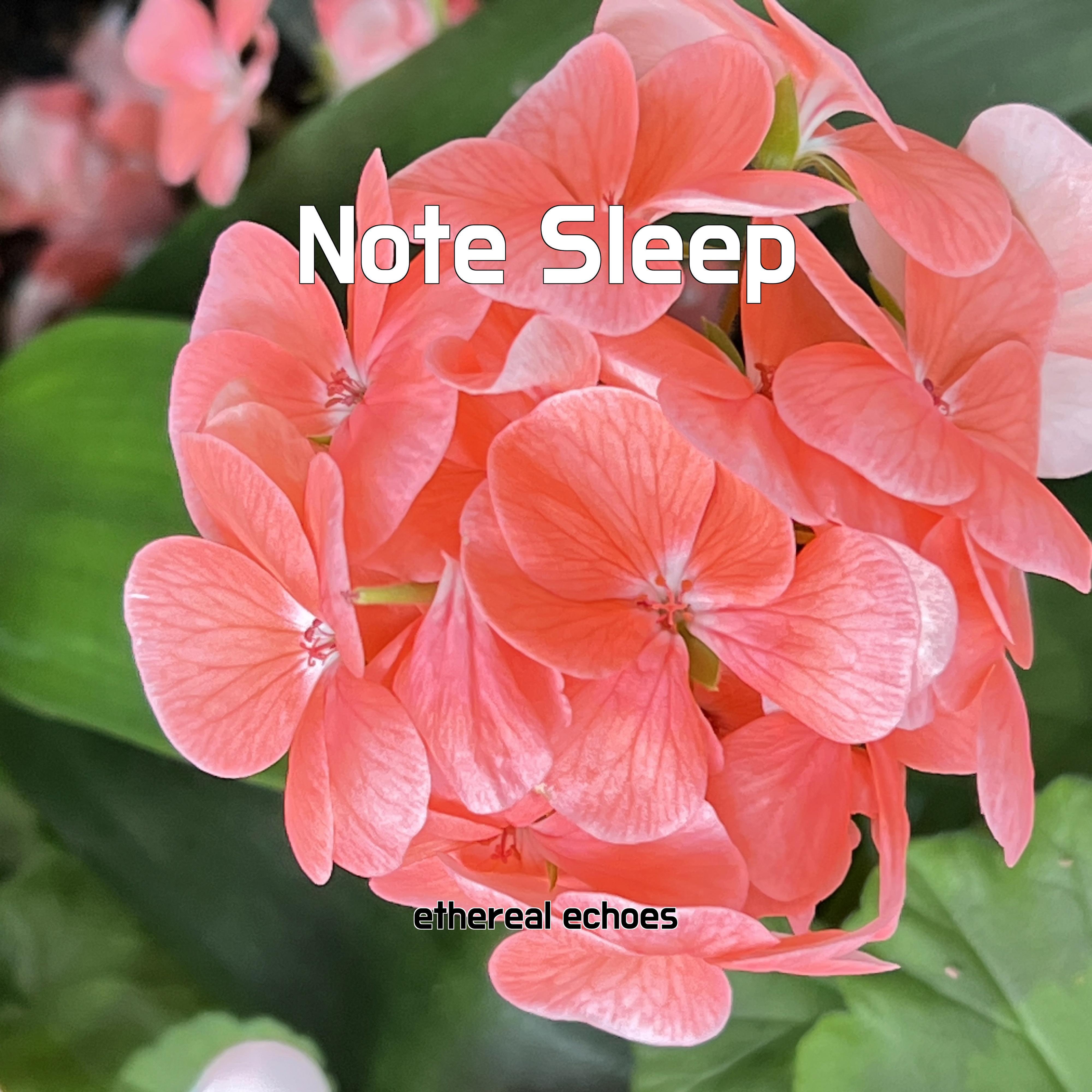 Релиз Note Sleep