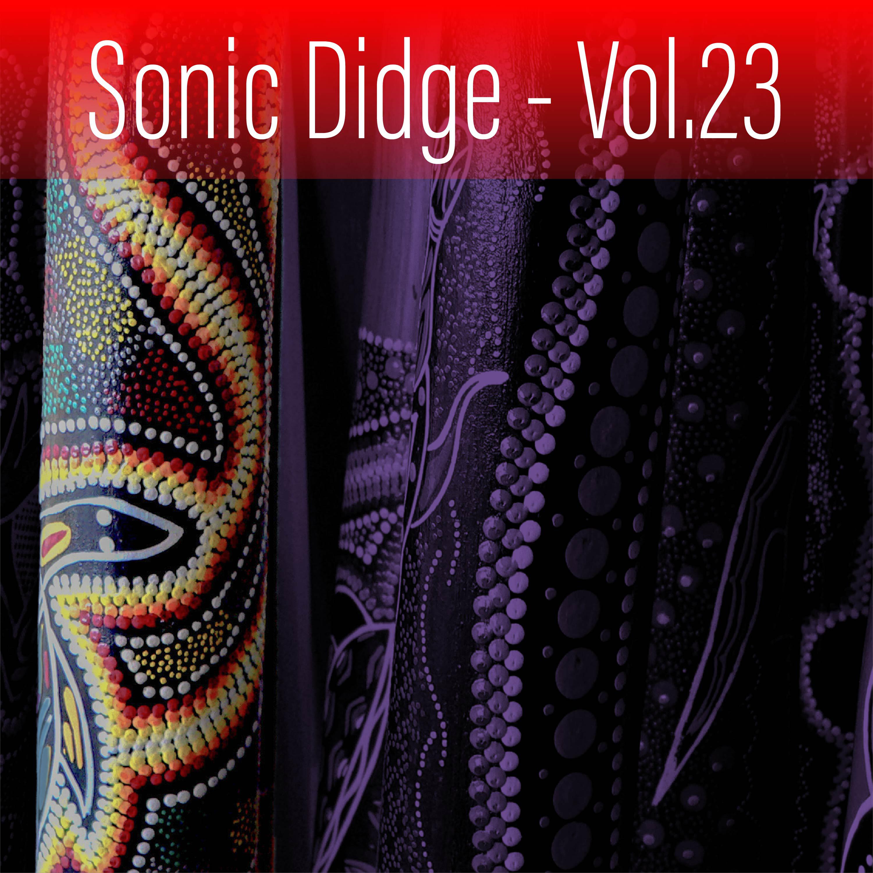 Релиз Sonic Didge, Vol. 23