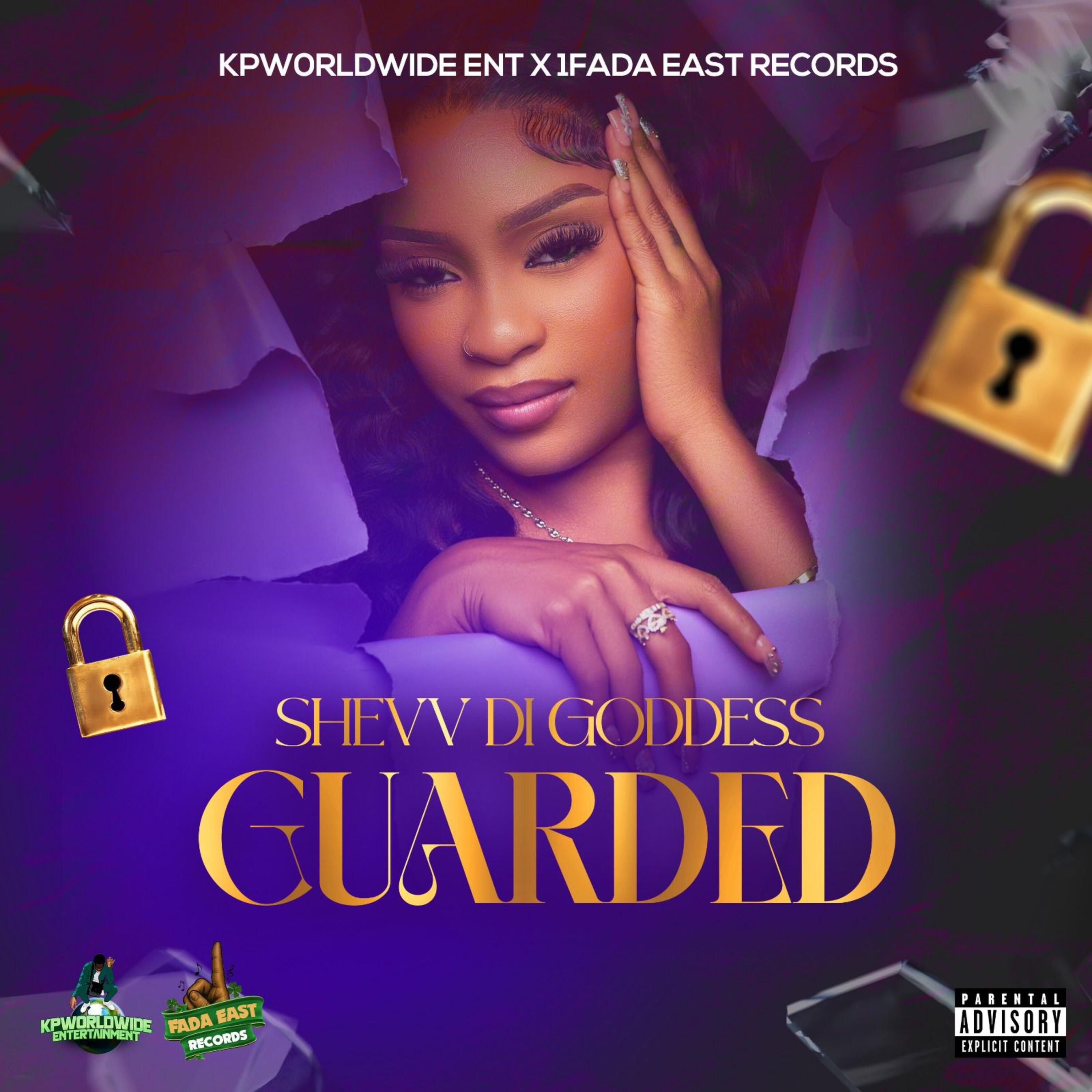 Релиз Guarded