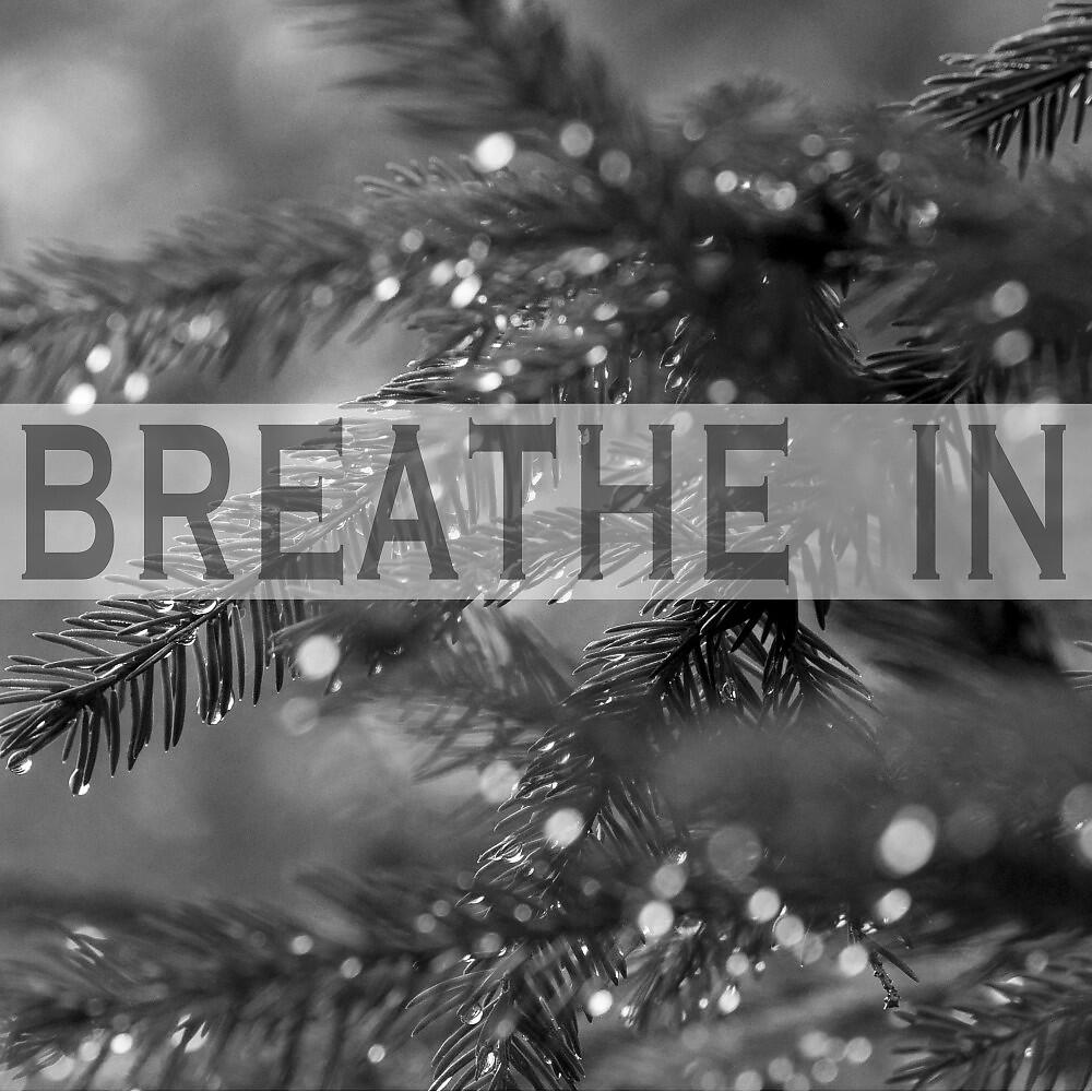 Релиз Breathe In