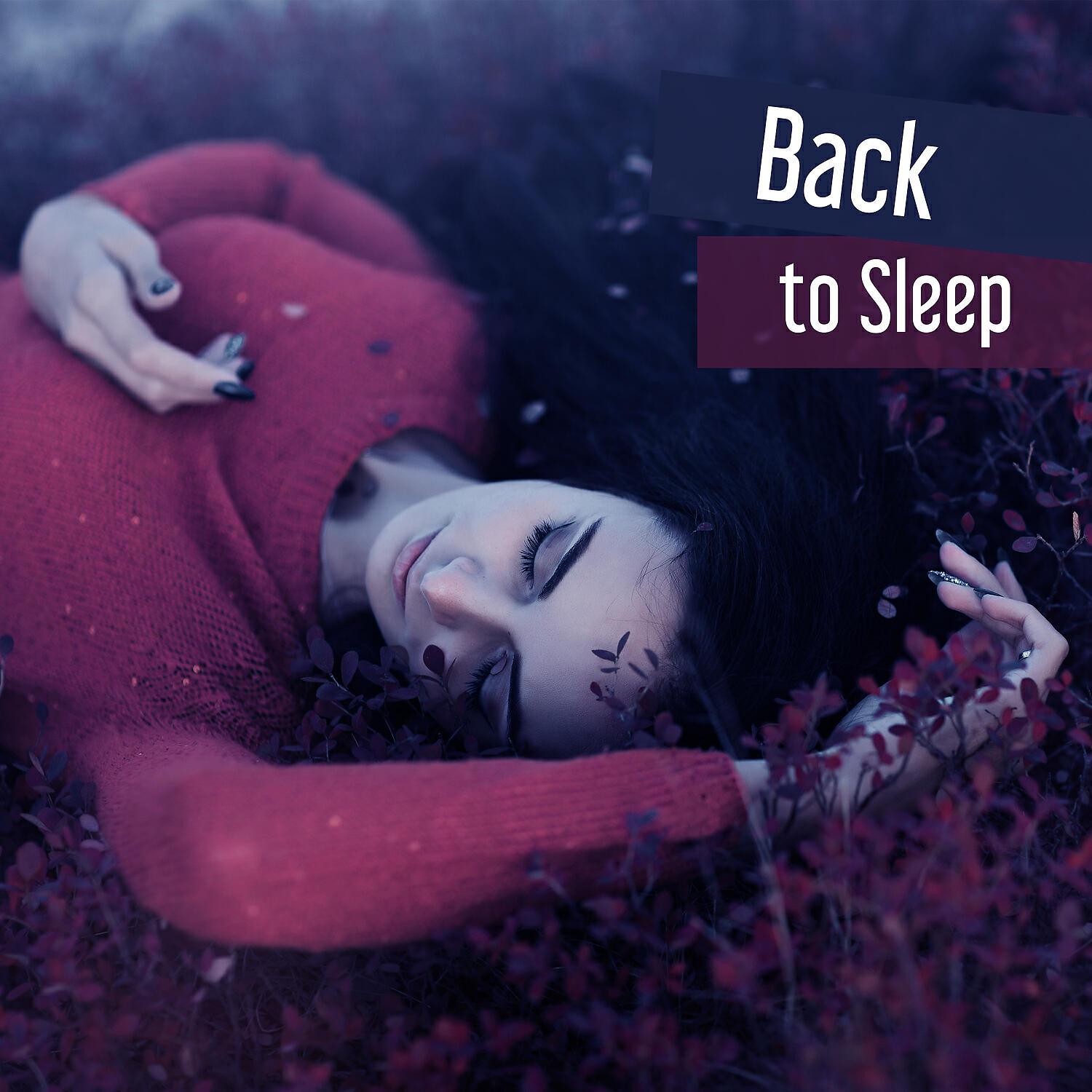 Релиз Back to Sleep - Quiet Night, Curious Dream, World of Dreams, Rest of the Body Music, Puts, Off thinks Lighted Night, All Night