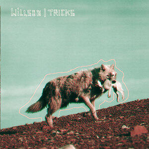 Willson