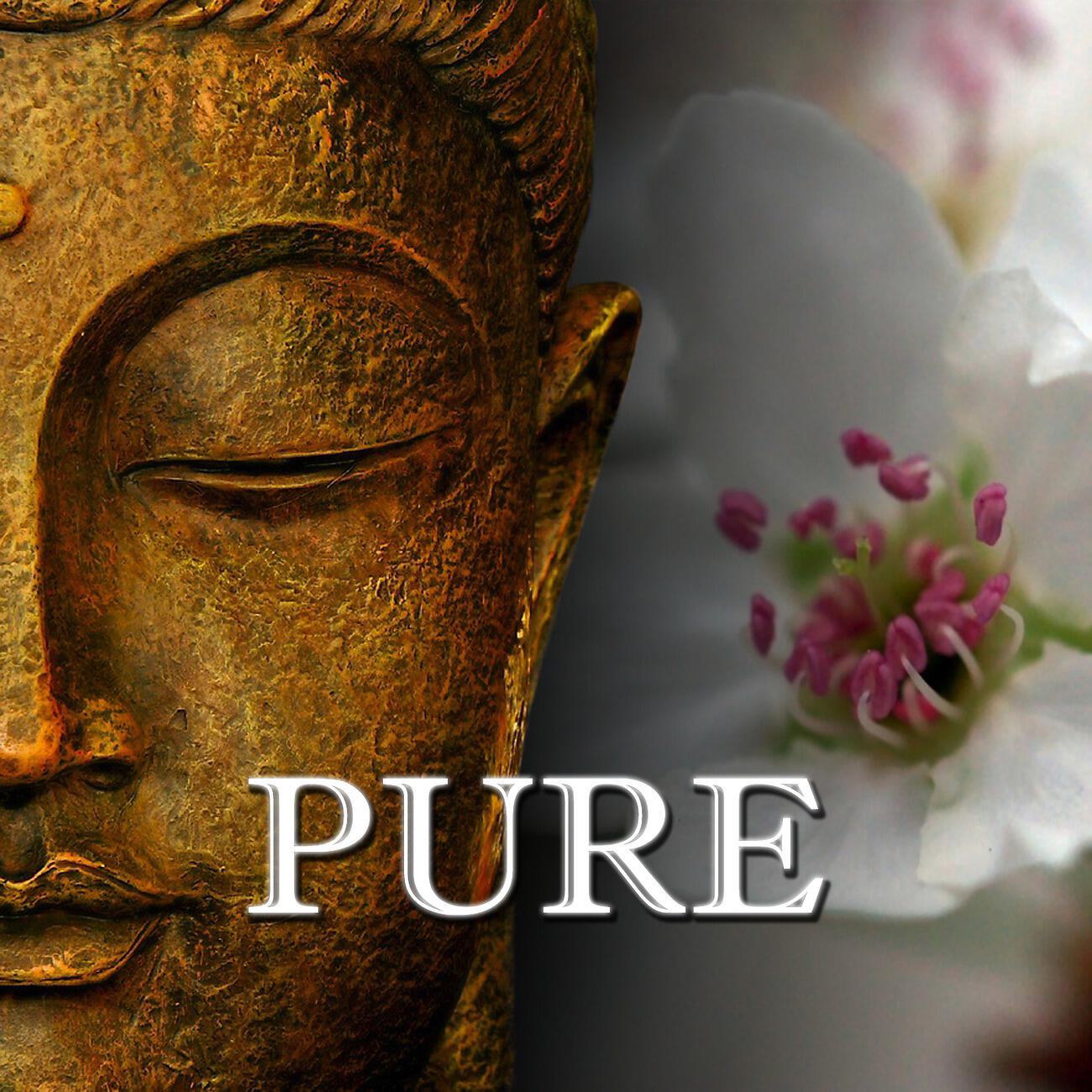 Релиз Pure