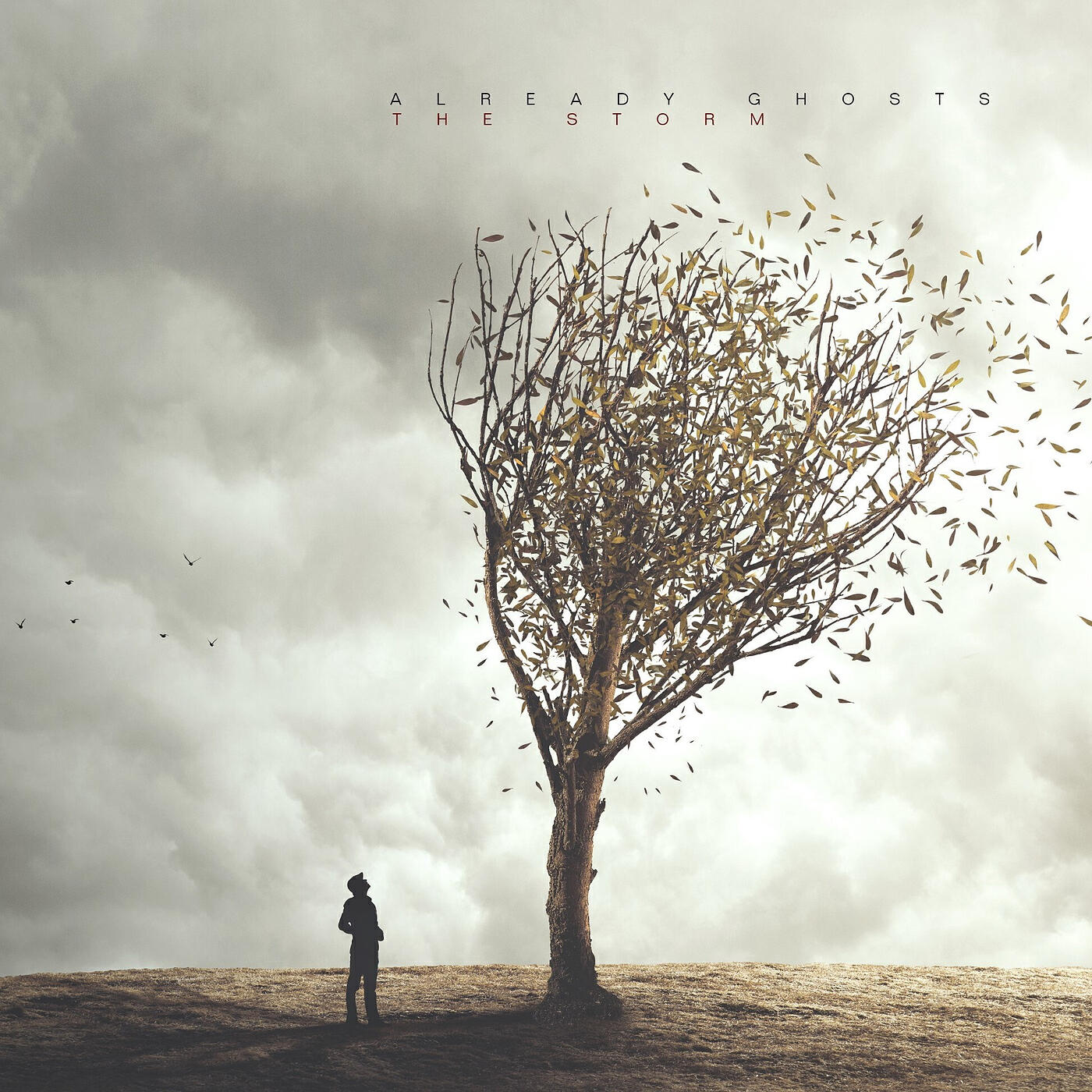 Релиз The Storm