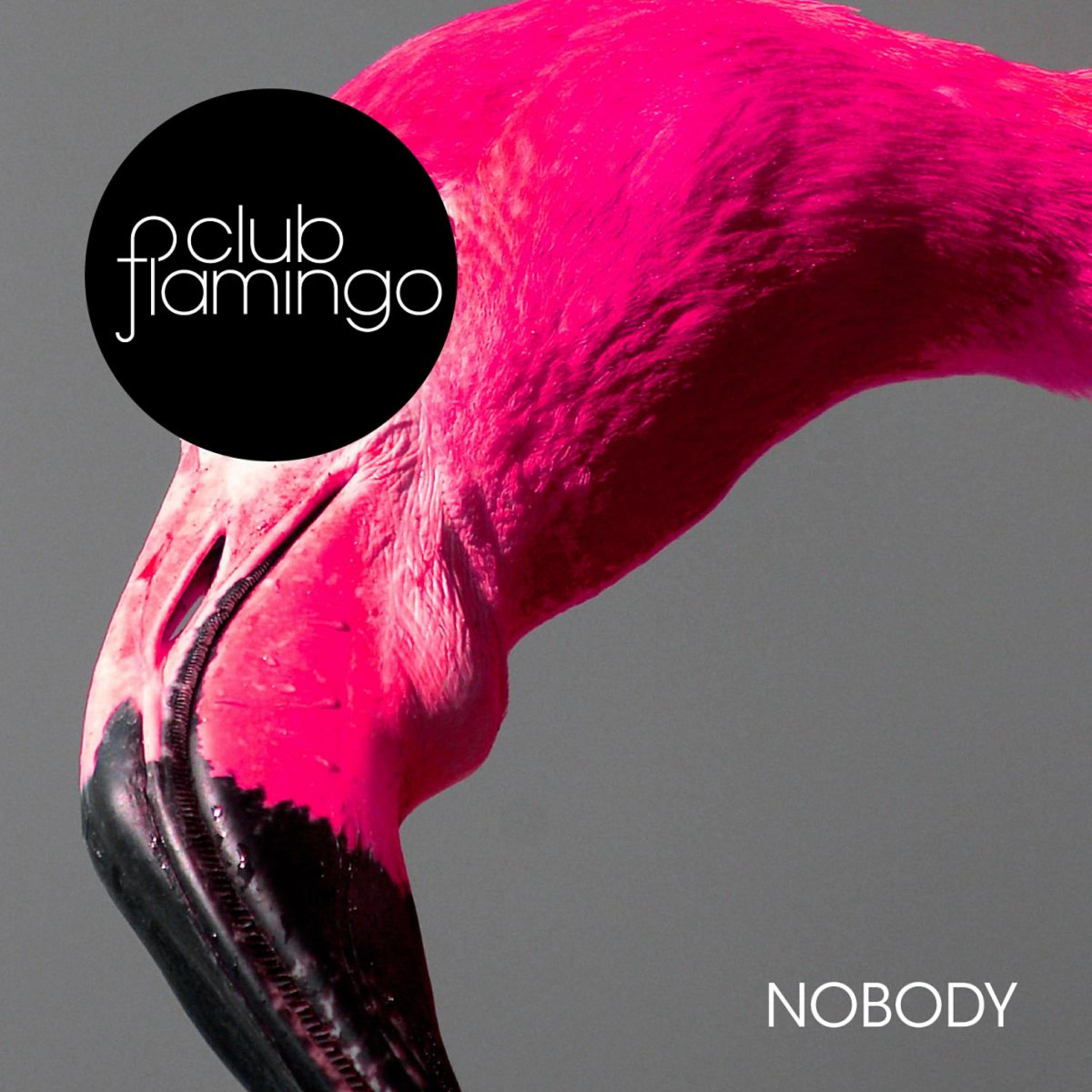 Релиз Nobody