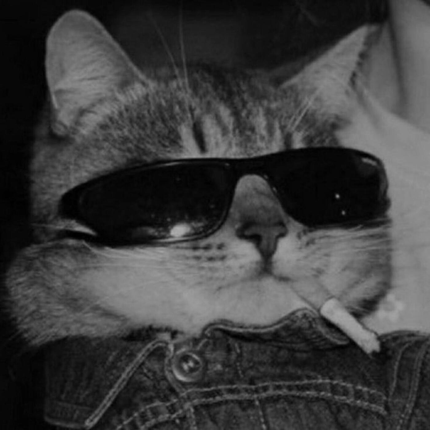 Релиз I Wanna Be