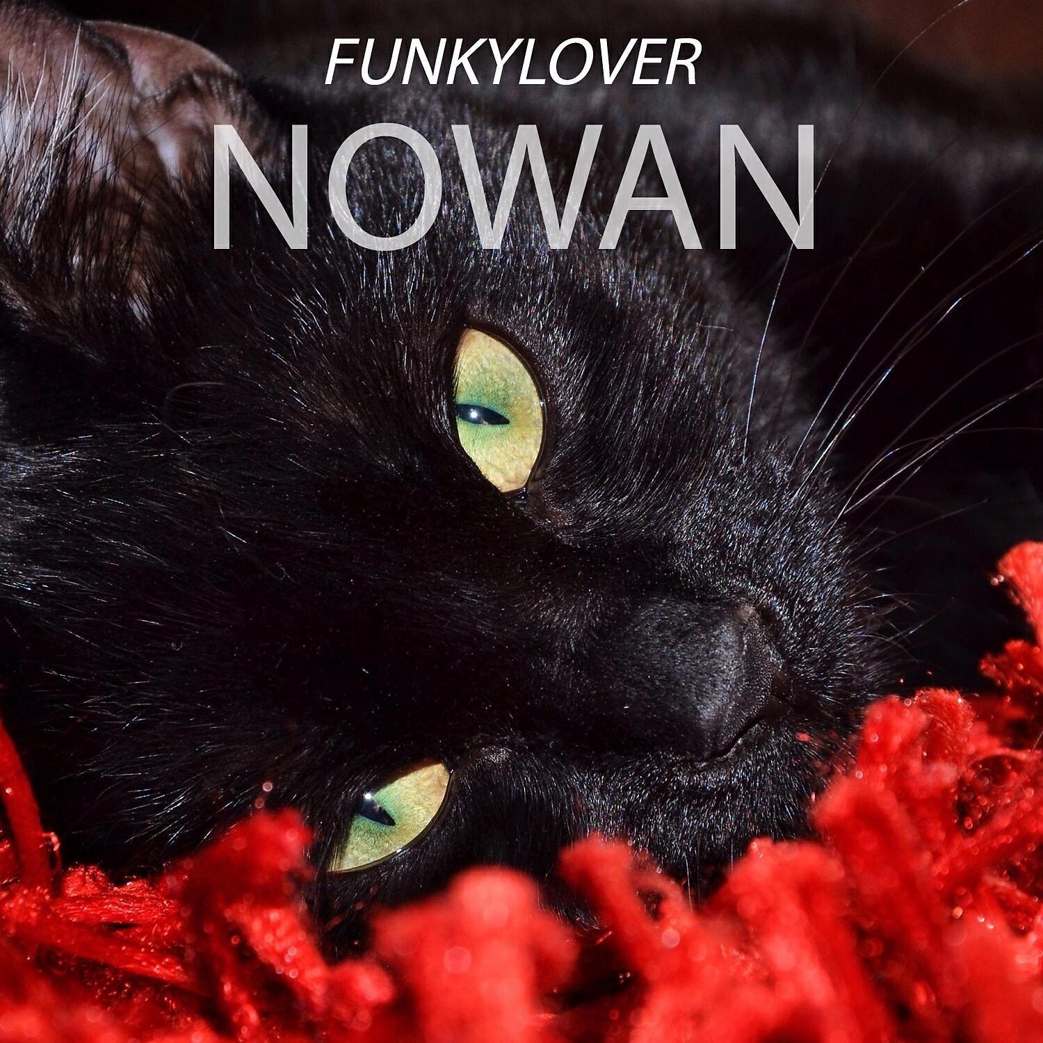 Релиз Nowan