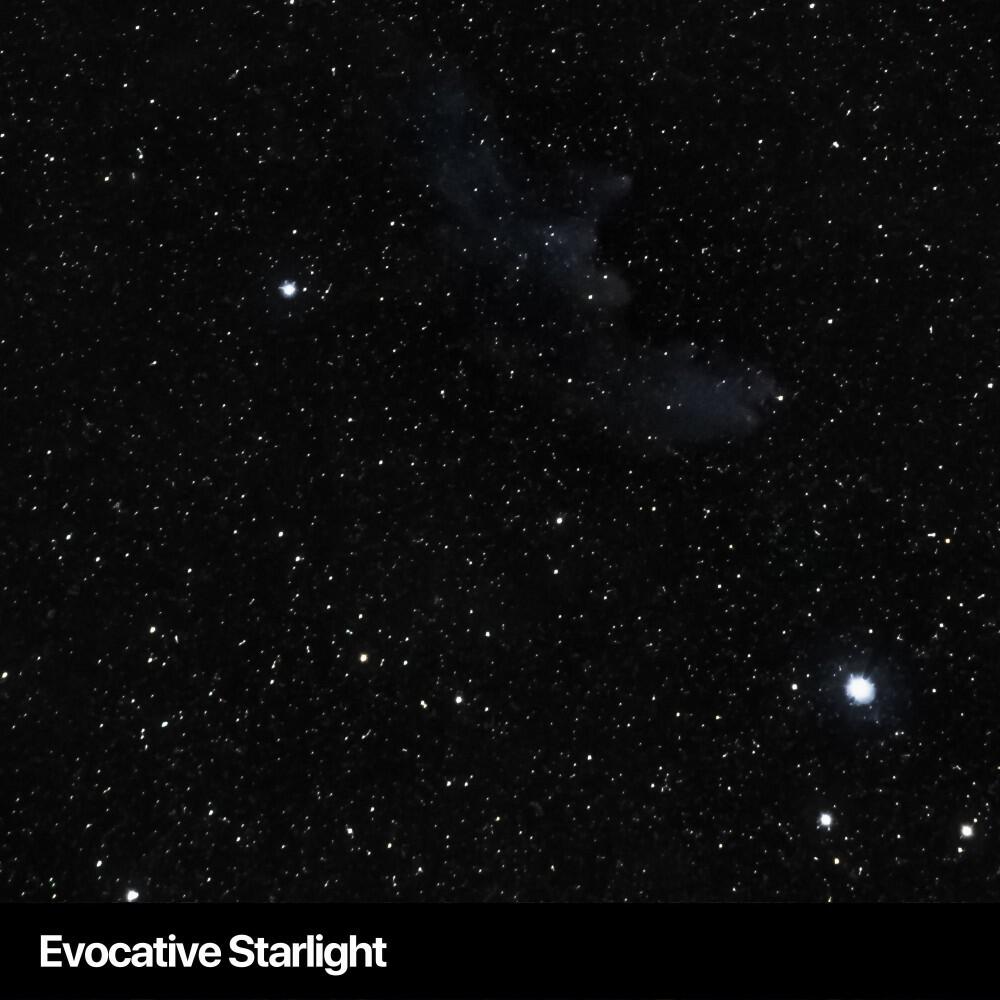 Релиз Evocative Starlight
