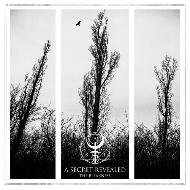 Релиз The Bleakness