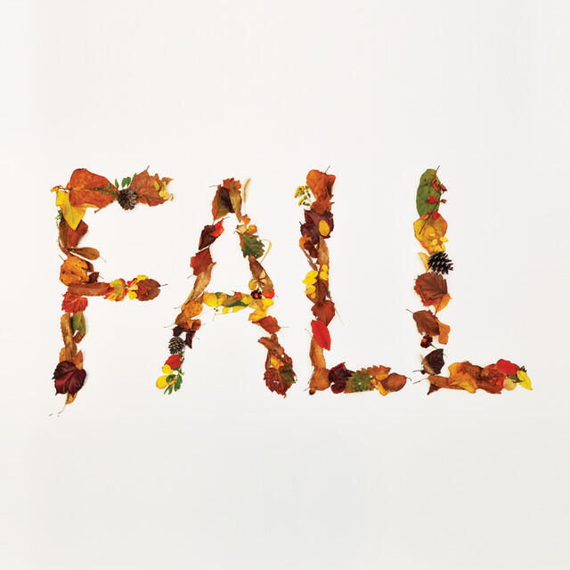 Релиз Fall