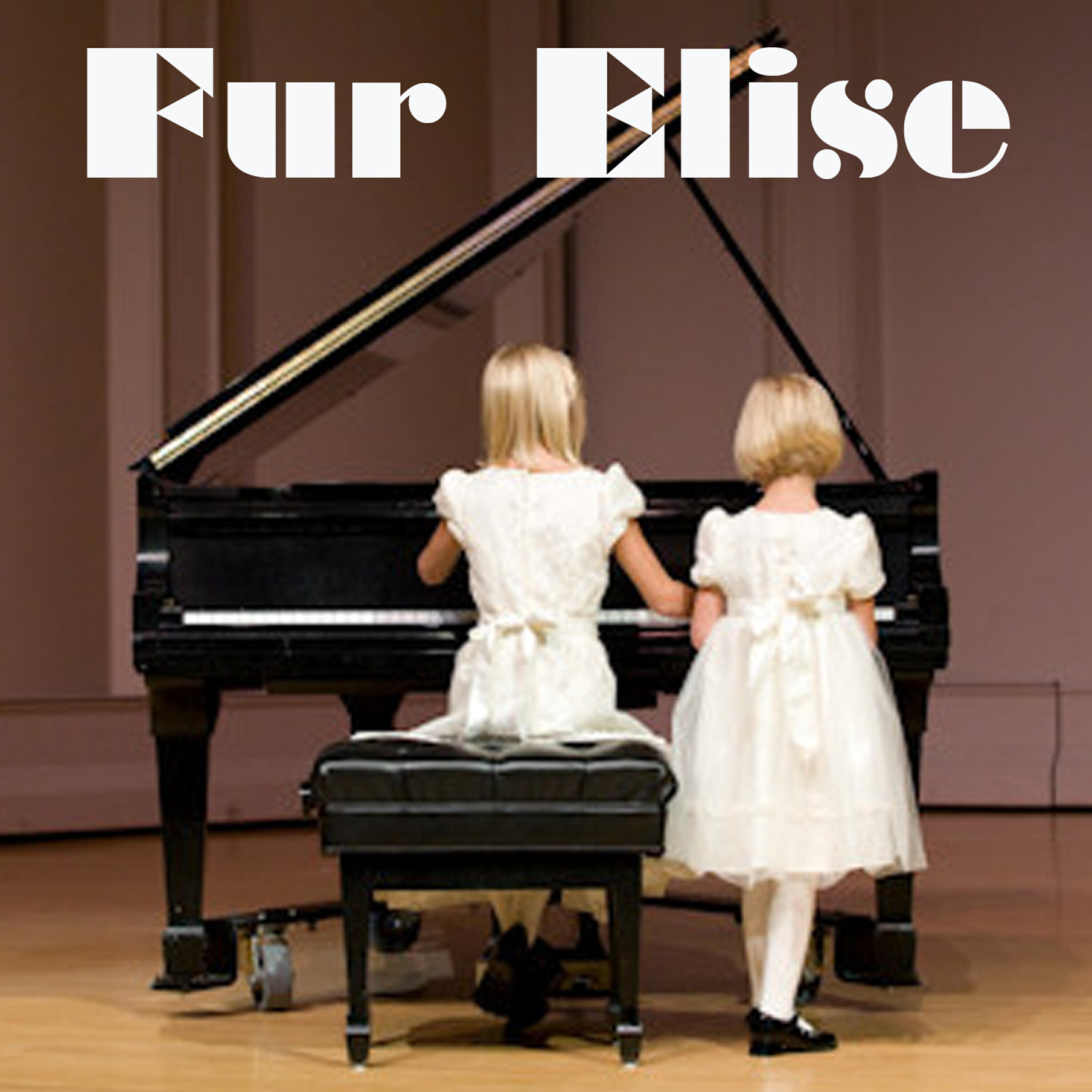 Релиз Fur Elise (Beethoven Salute)