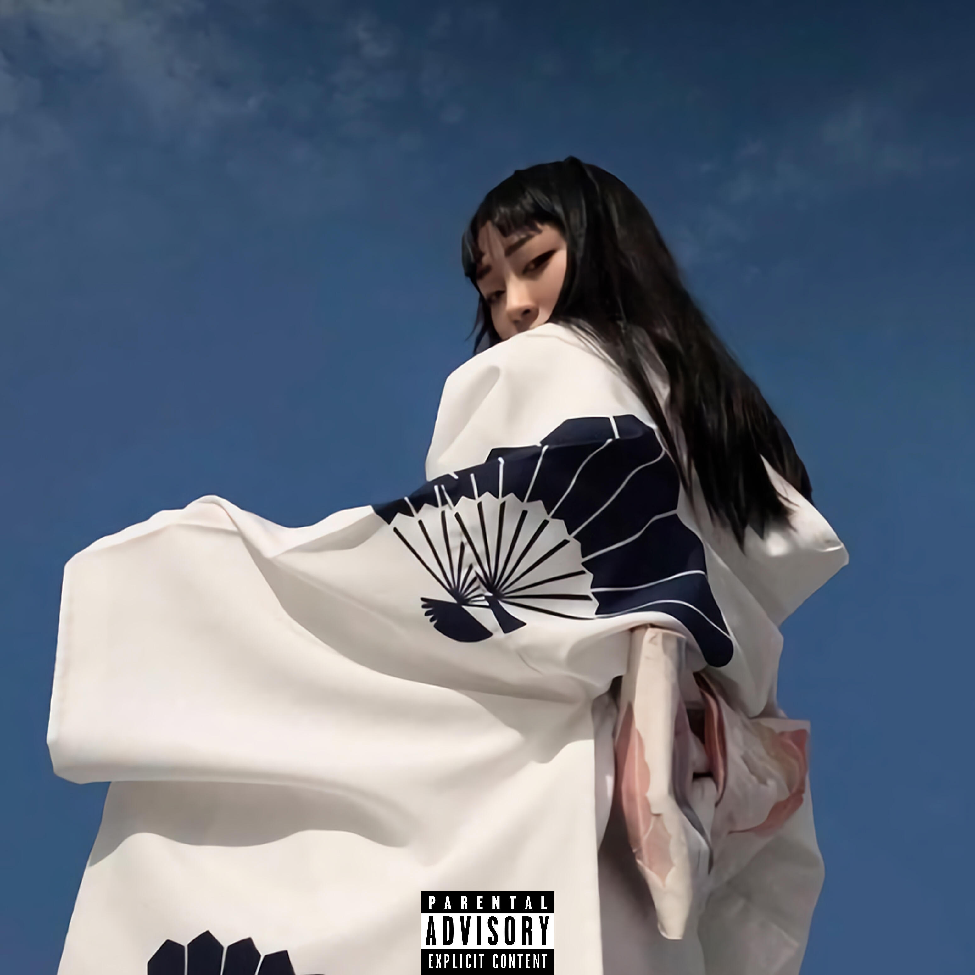 Релиз Kung Fu