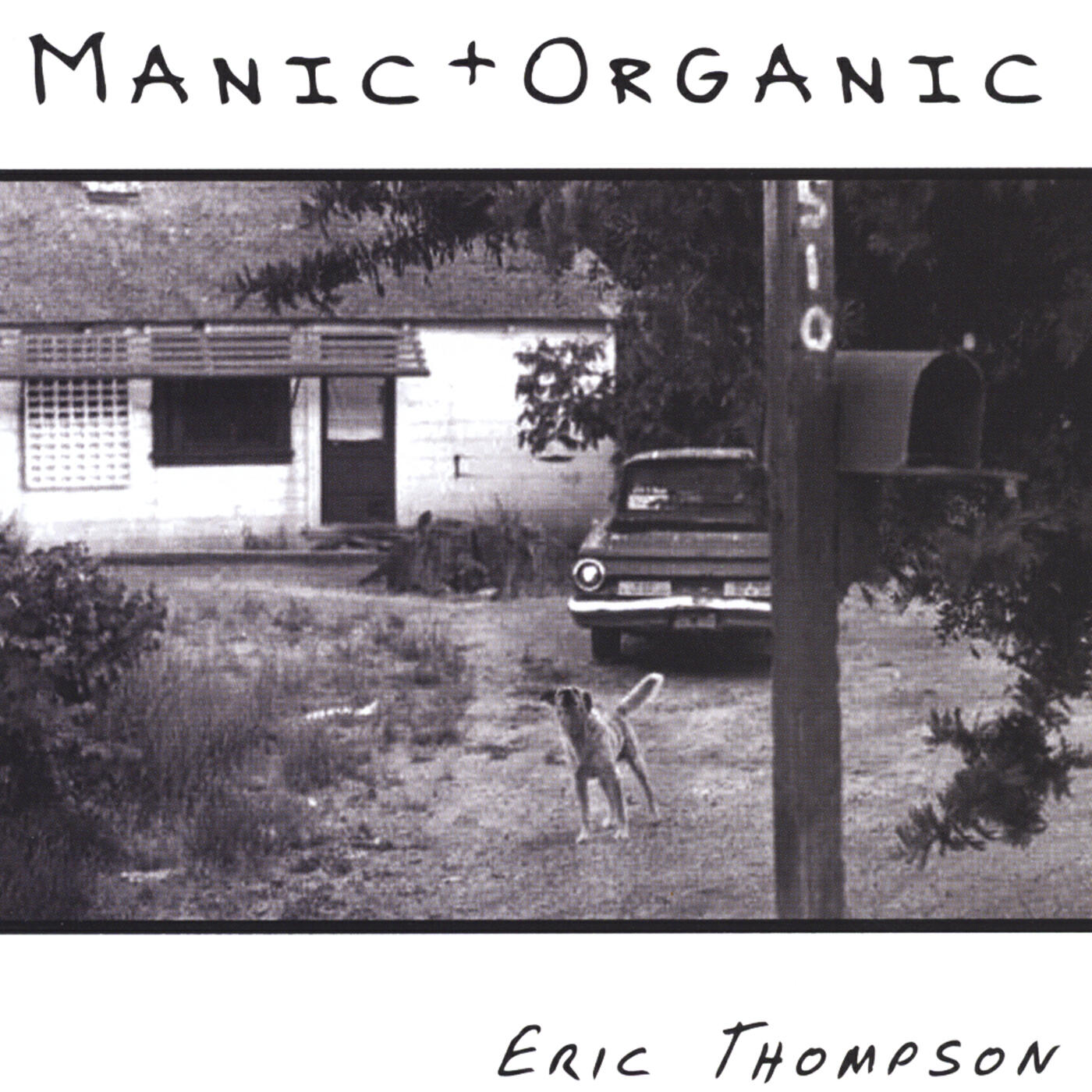 Релиз Manic + Organic