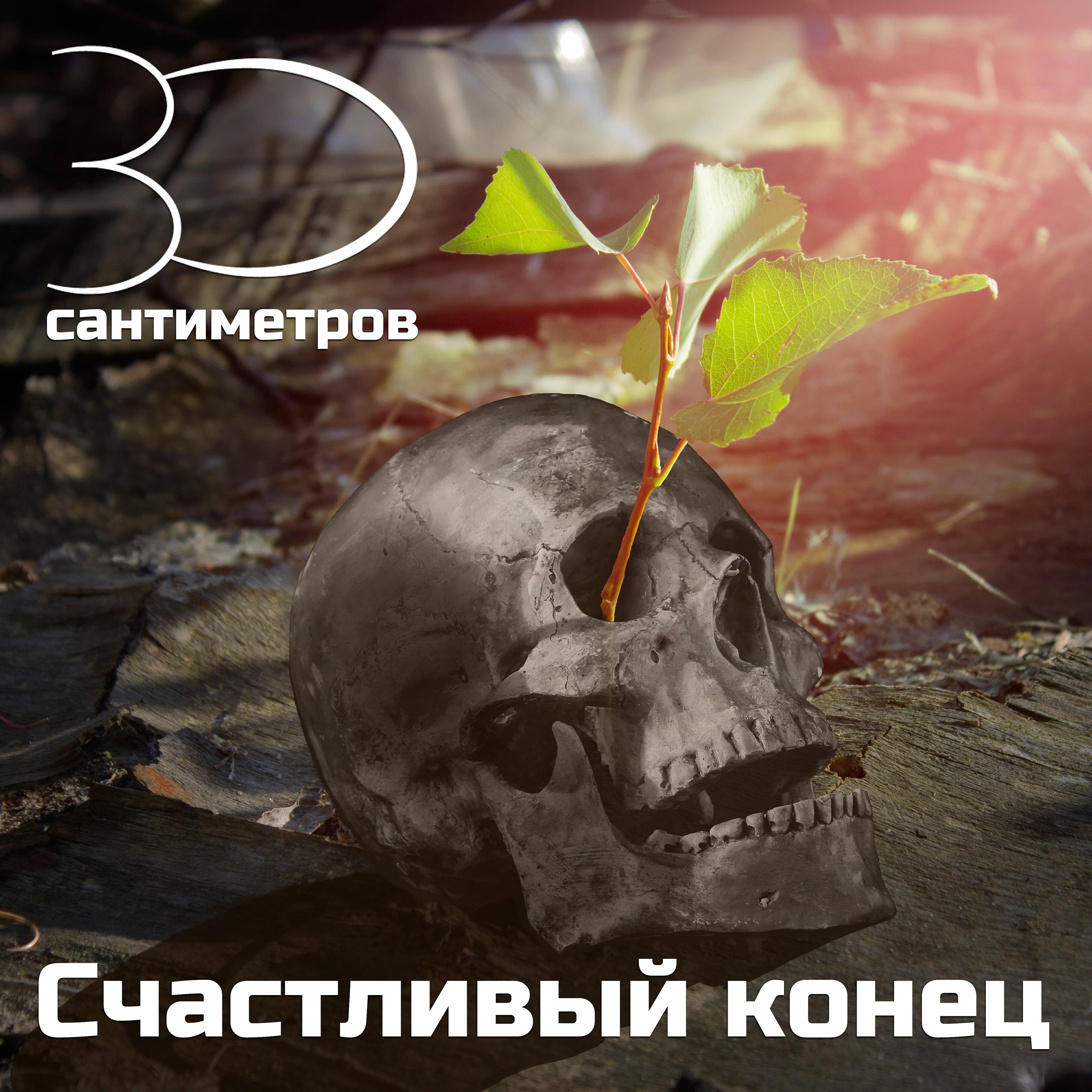 Релиз Счастливый конец