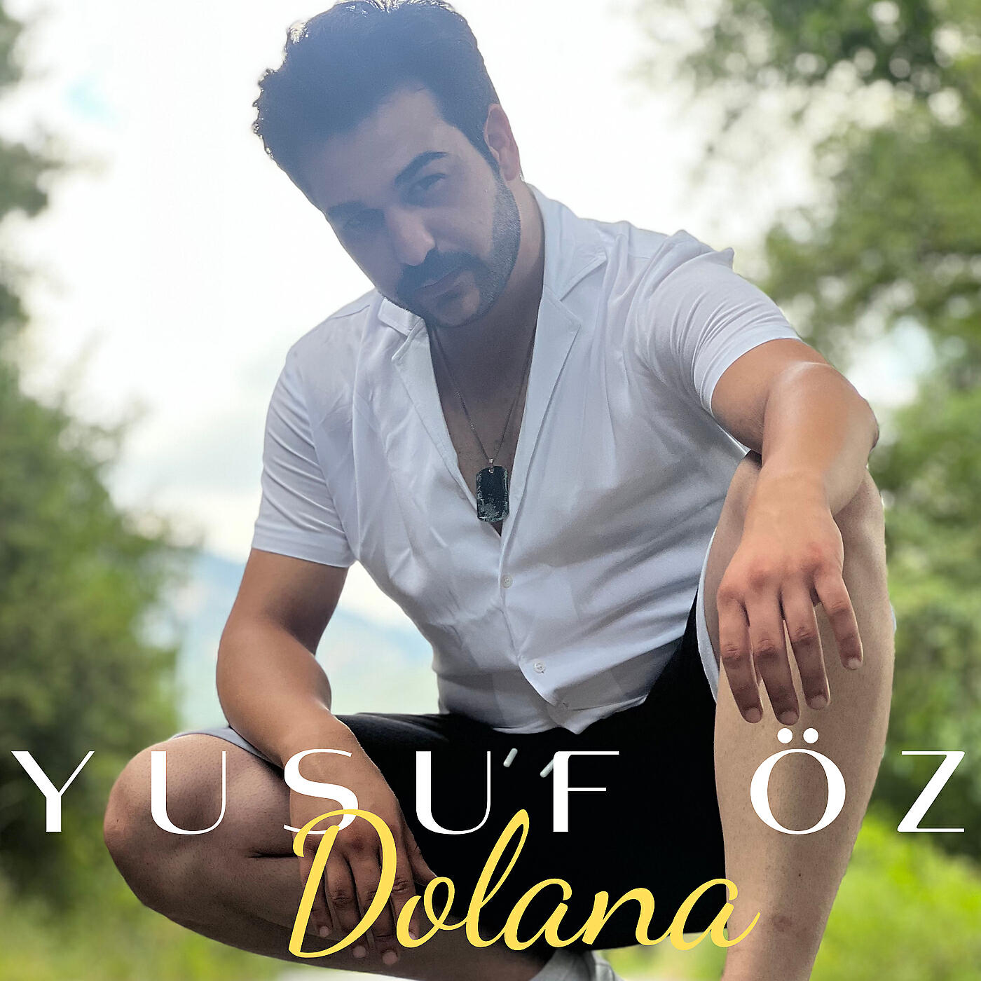 Релиз Dolana