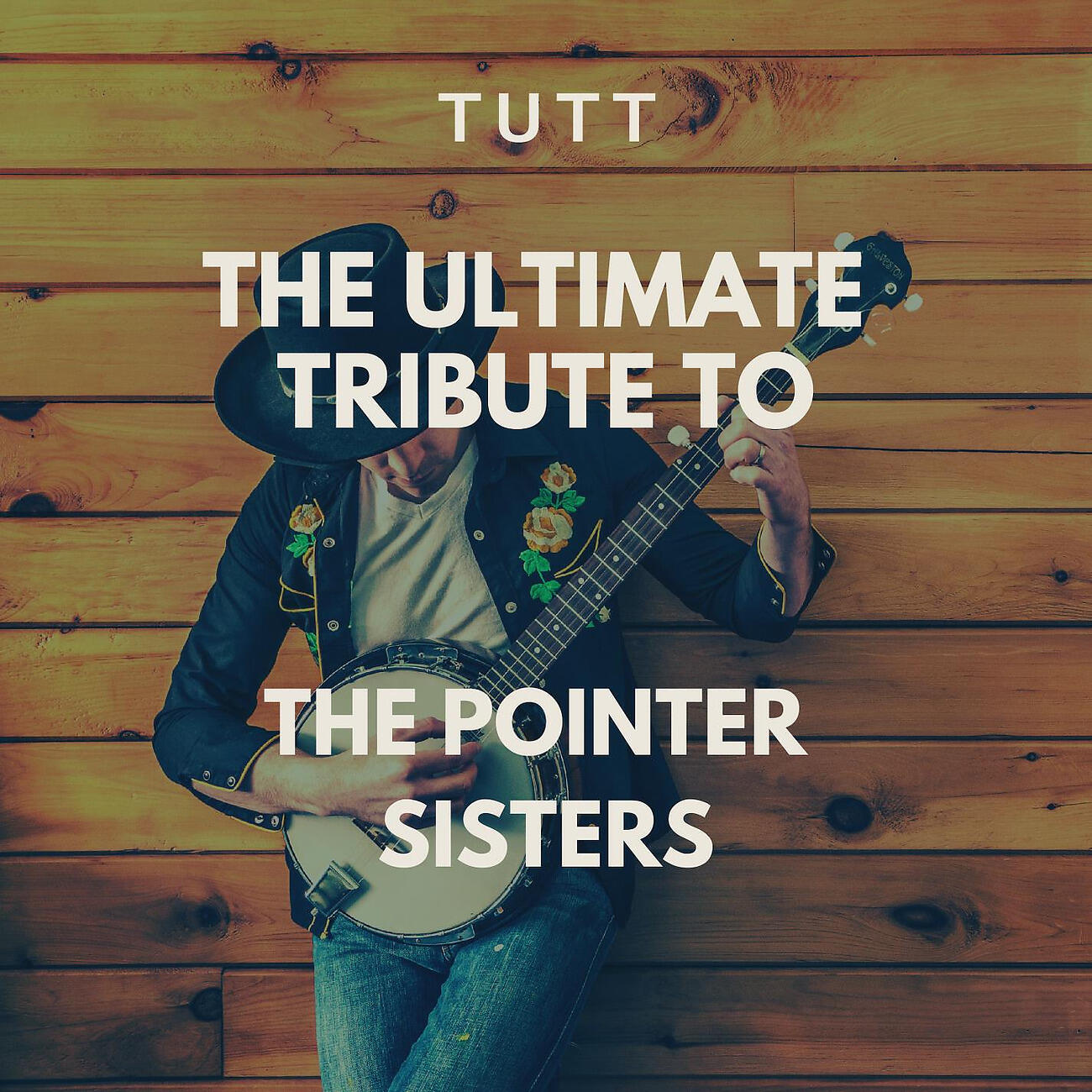 Релиз The Ultimate Tribute To The Pointer Sisters