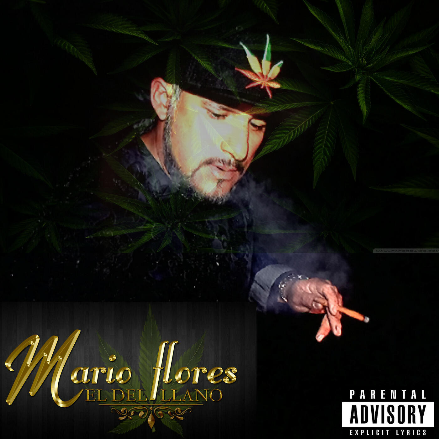Mario flores El del Llano
