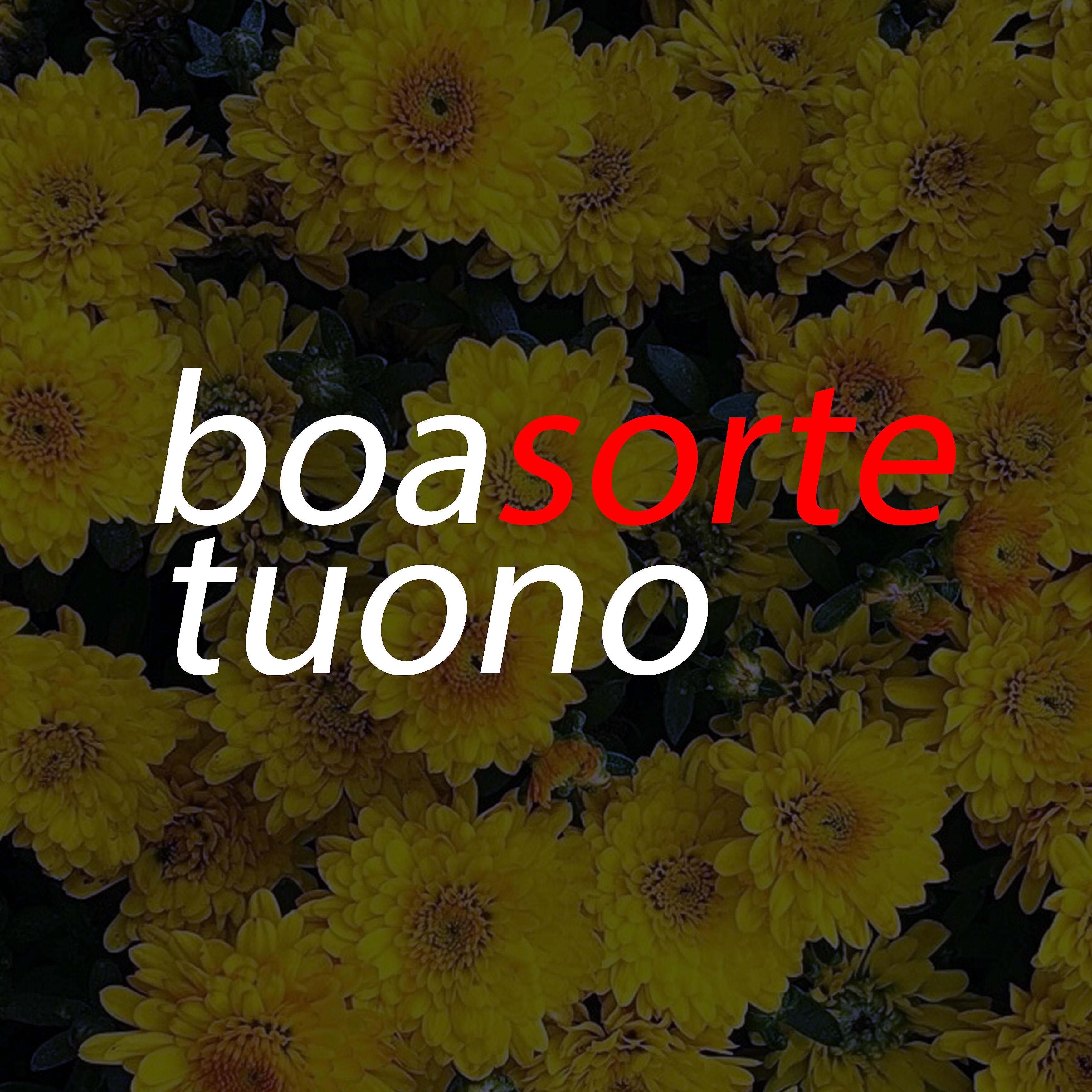 Релиз Boa Sorte