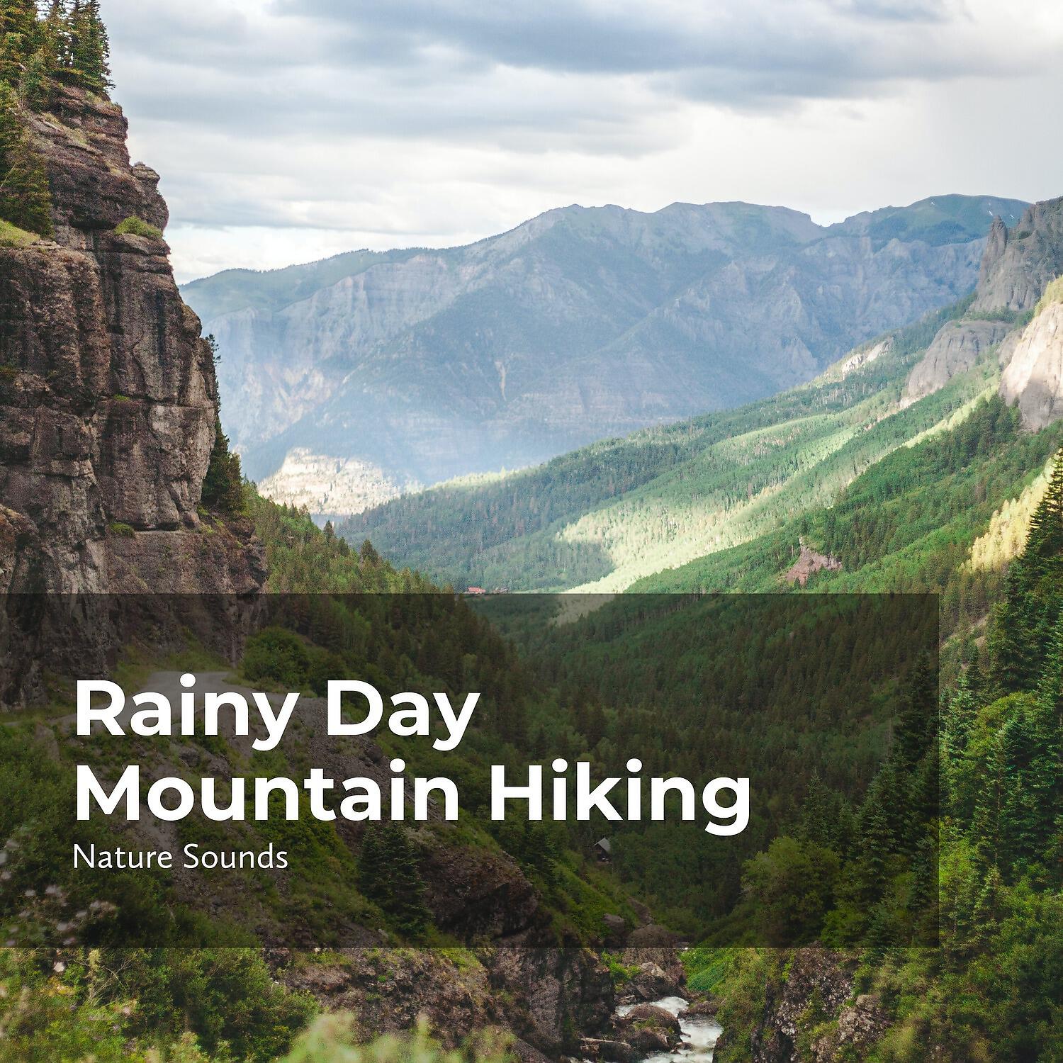 Релиз Rainy Day Mountain Hiking