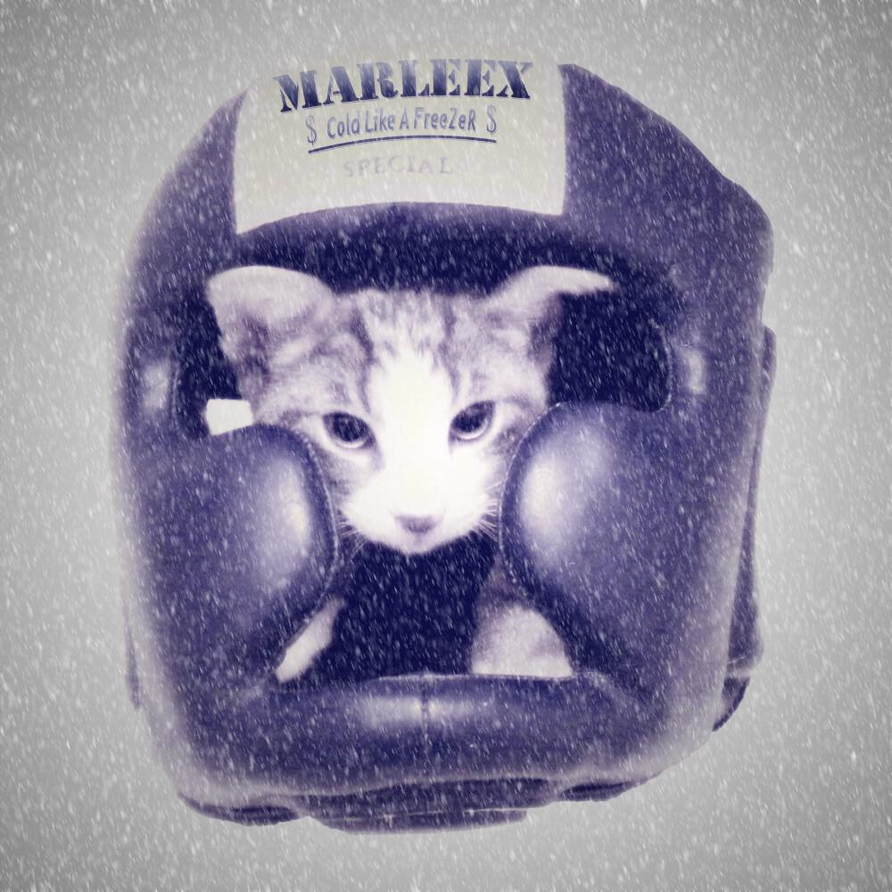Релиз Cold Like a Freezer
