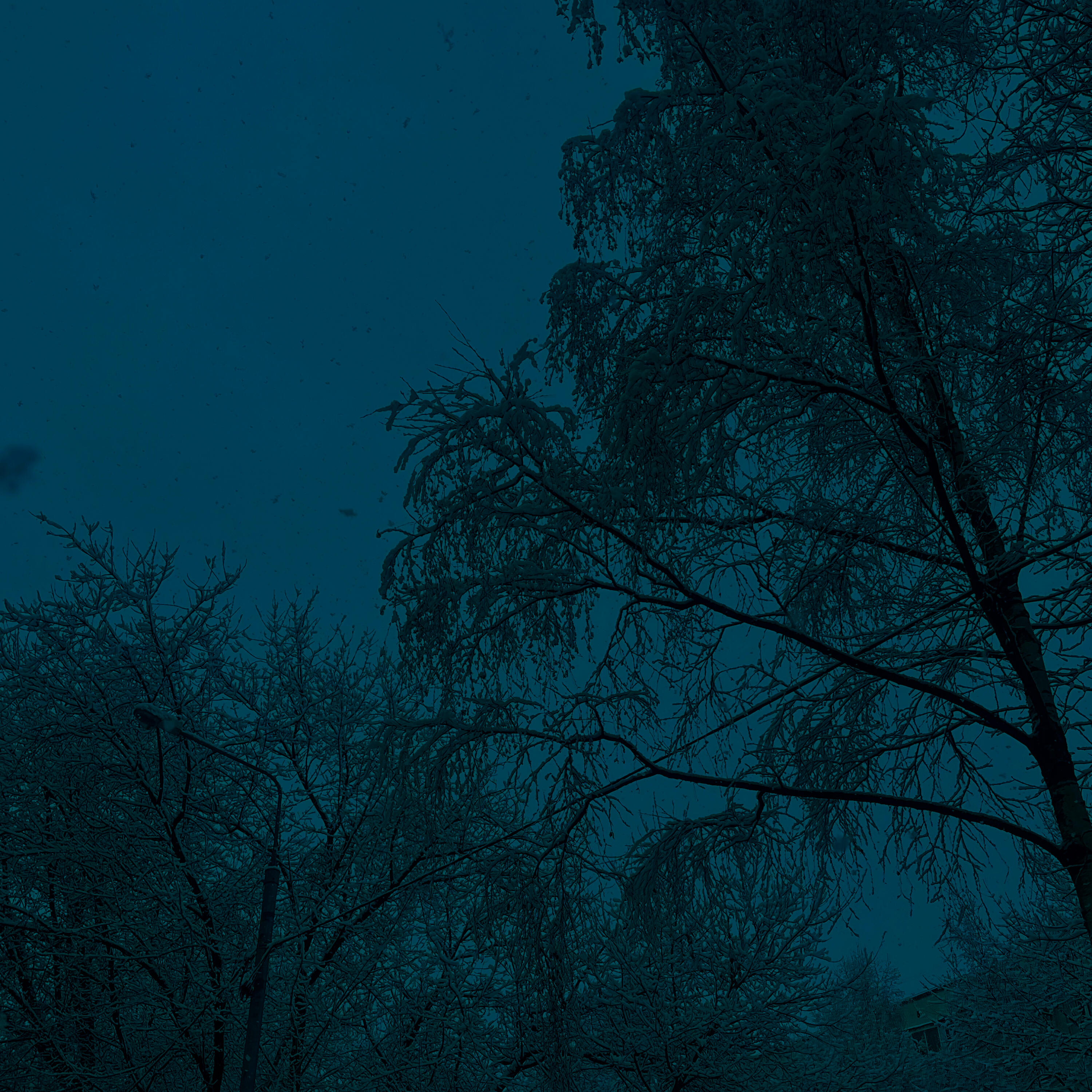 Релиз eternity
