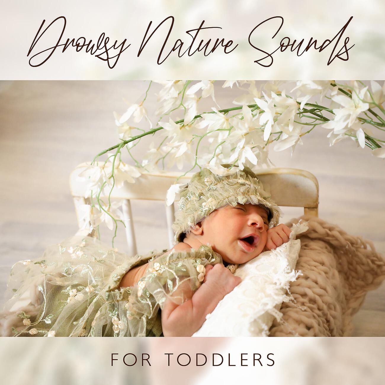 Релиз Drowsy Nature Sounds for Toddlers