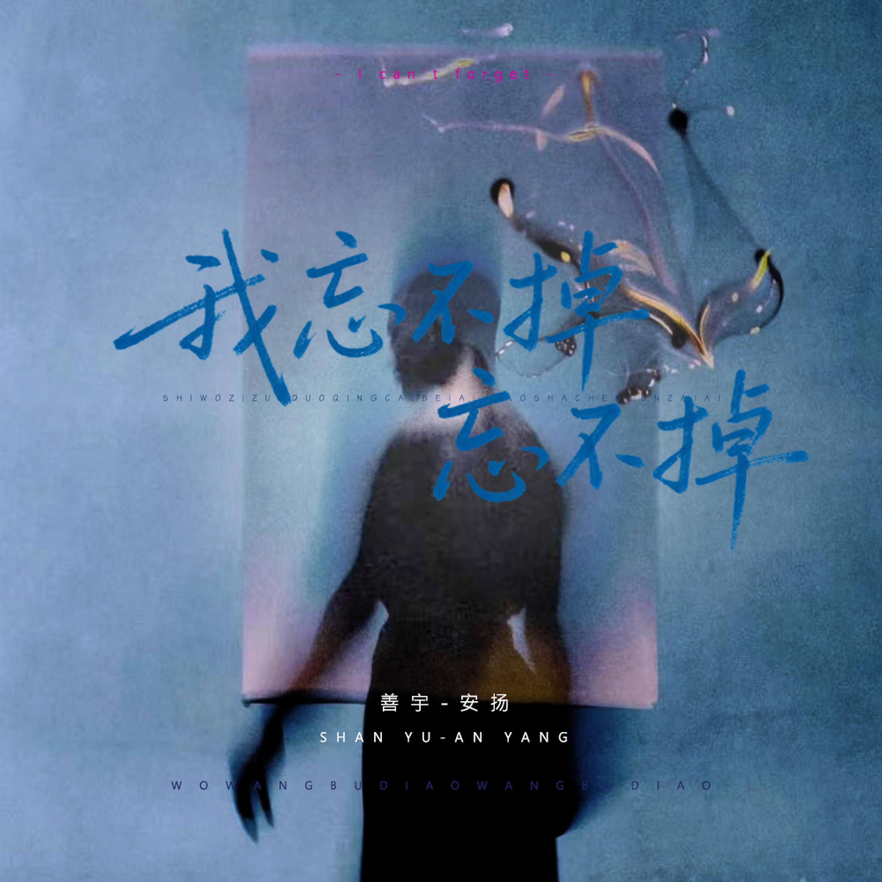 Релиз 我忘不掉忘不掉