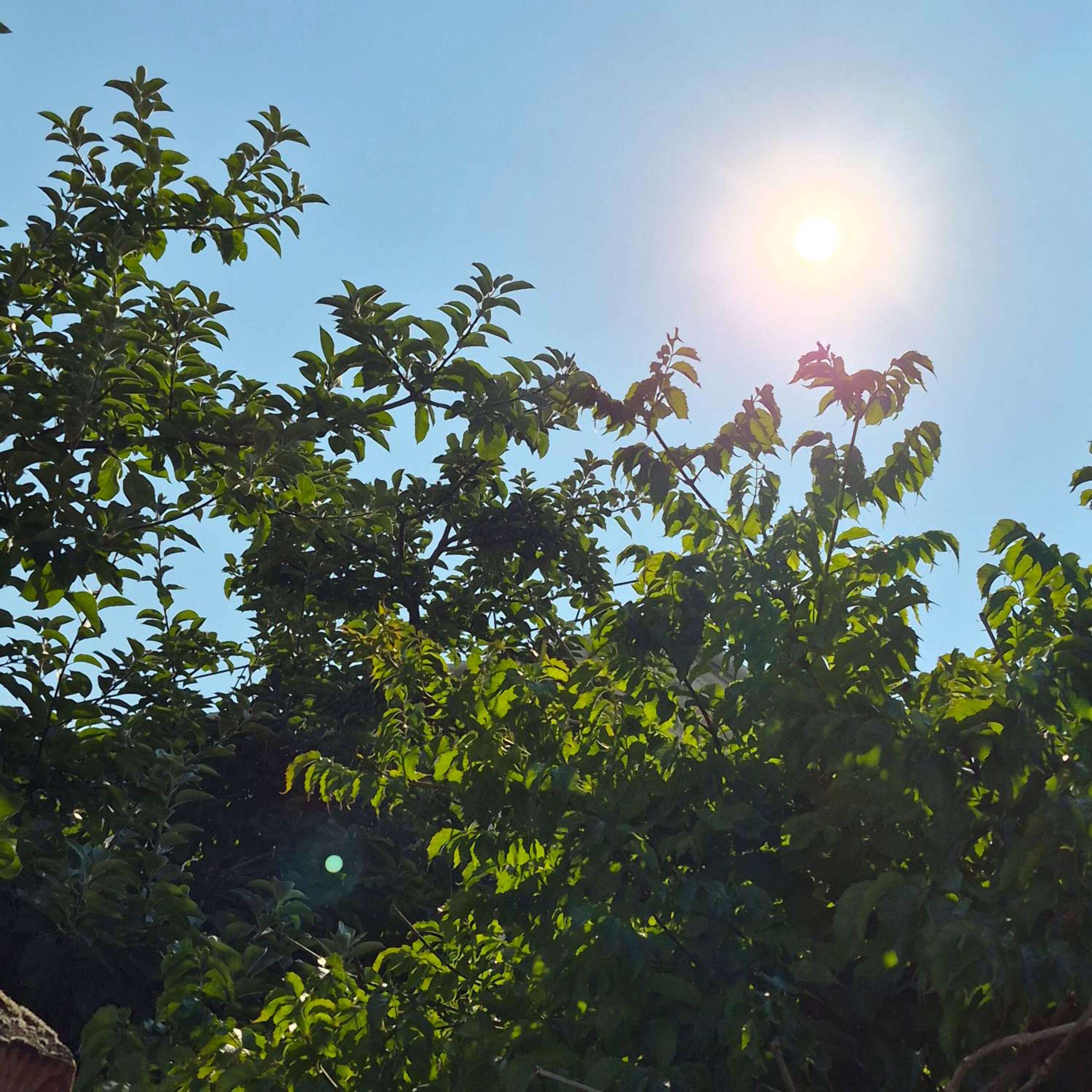 Релиз Twisted fable
