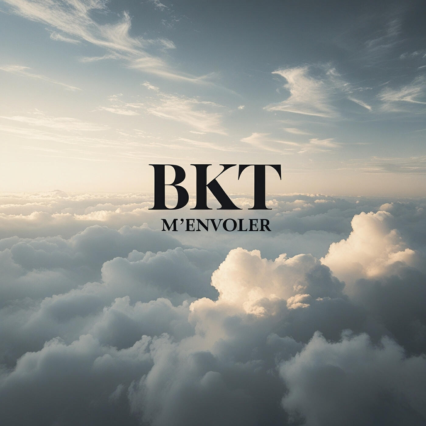 Постер альбома M'envoler