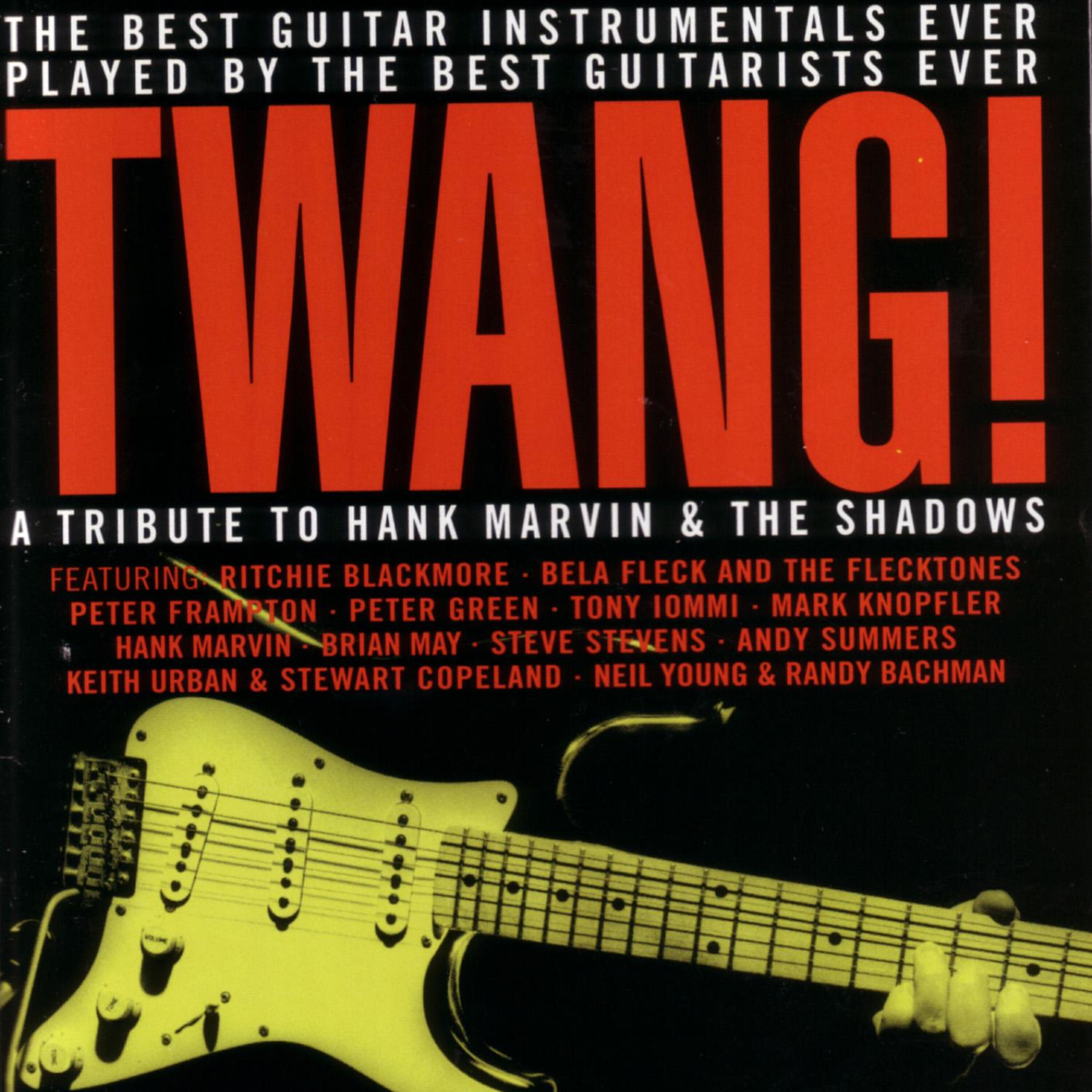 Постер альбома Twang !
