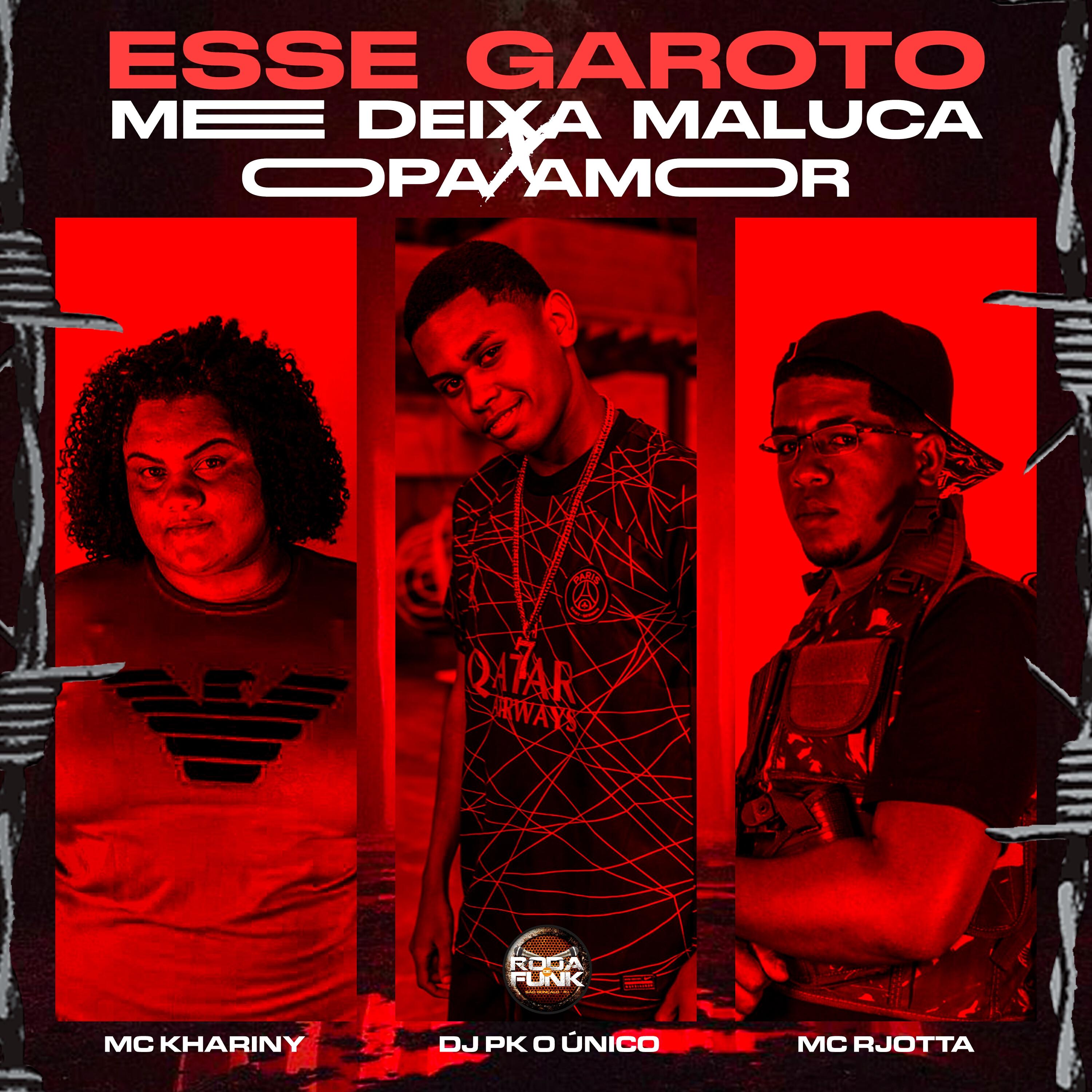 Релиз Esse Garoto Me Deixa Maluca X o Paixão o Amor