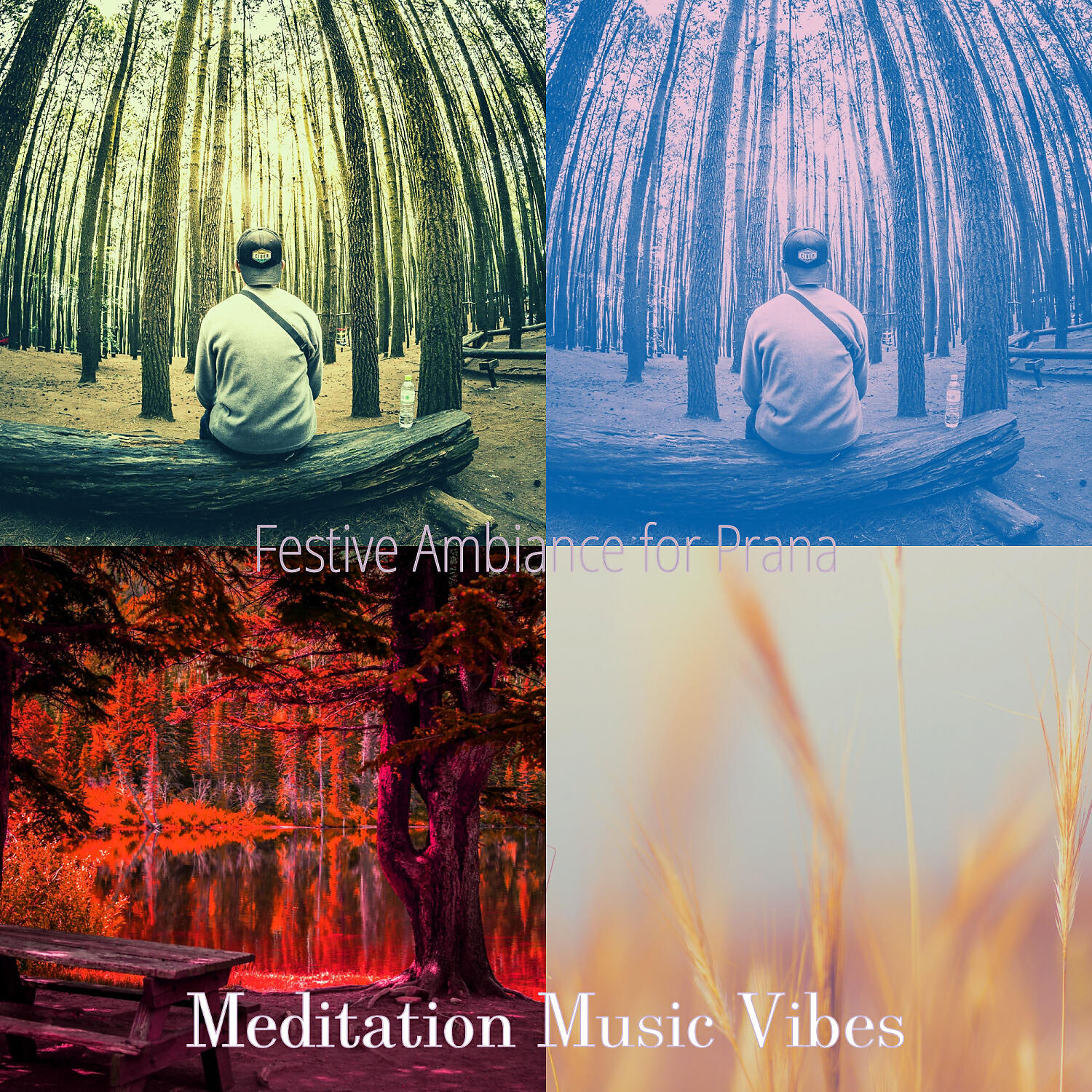Релиз Festive Ambiance for Prana