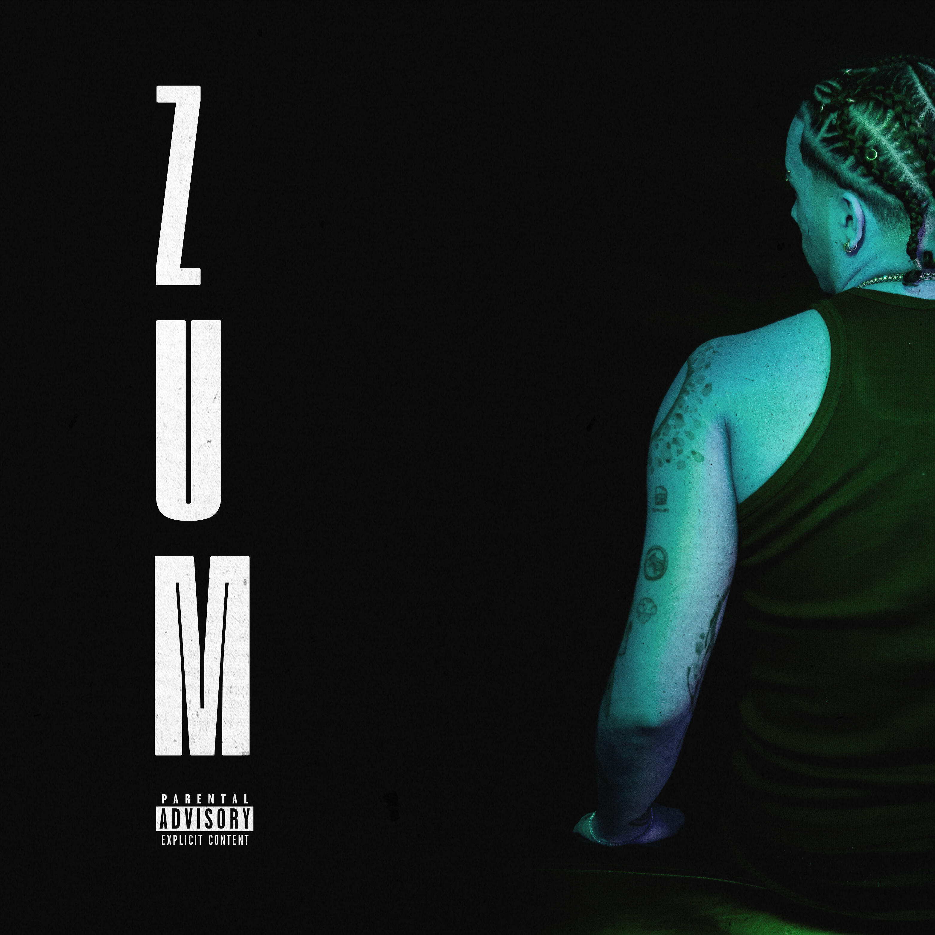 Релиз Zum