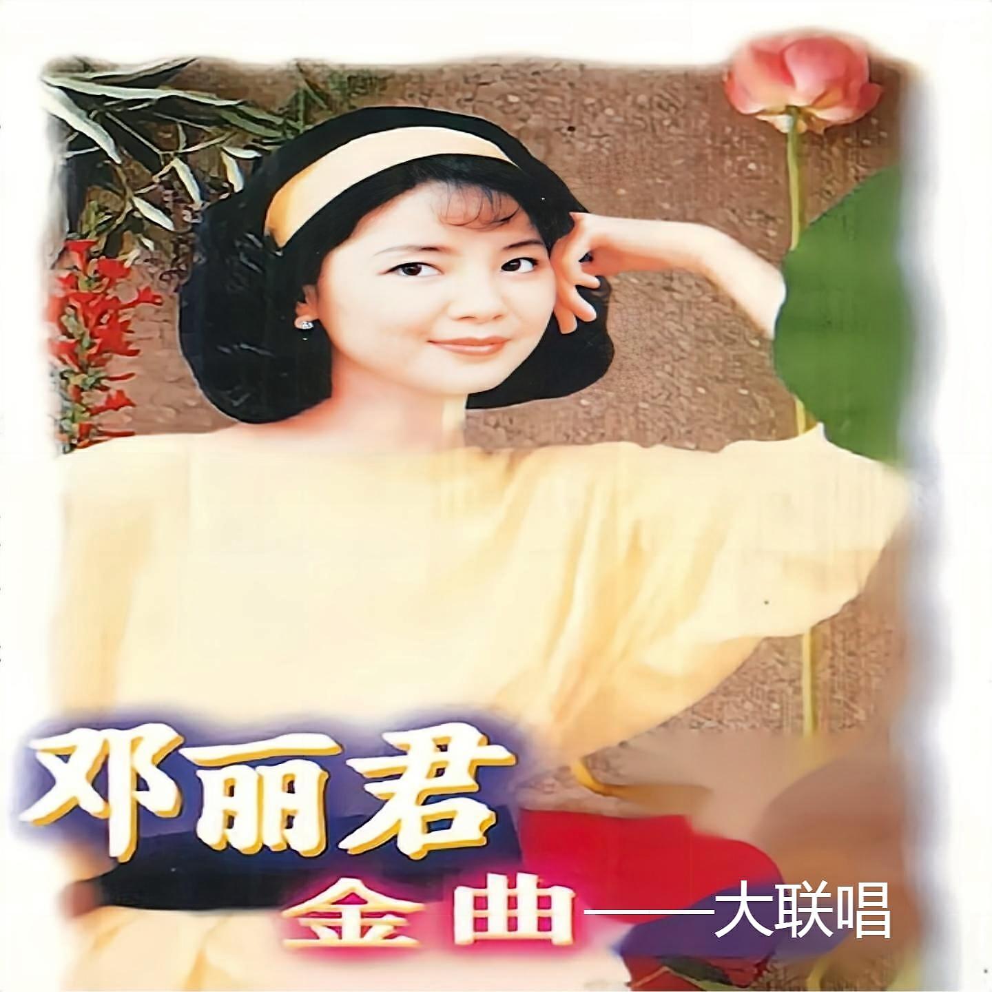 Релиз 邓丽君金曲-大联唱