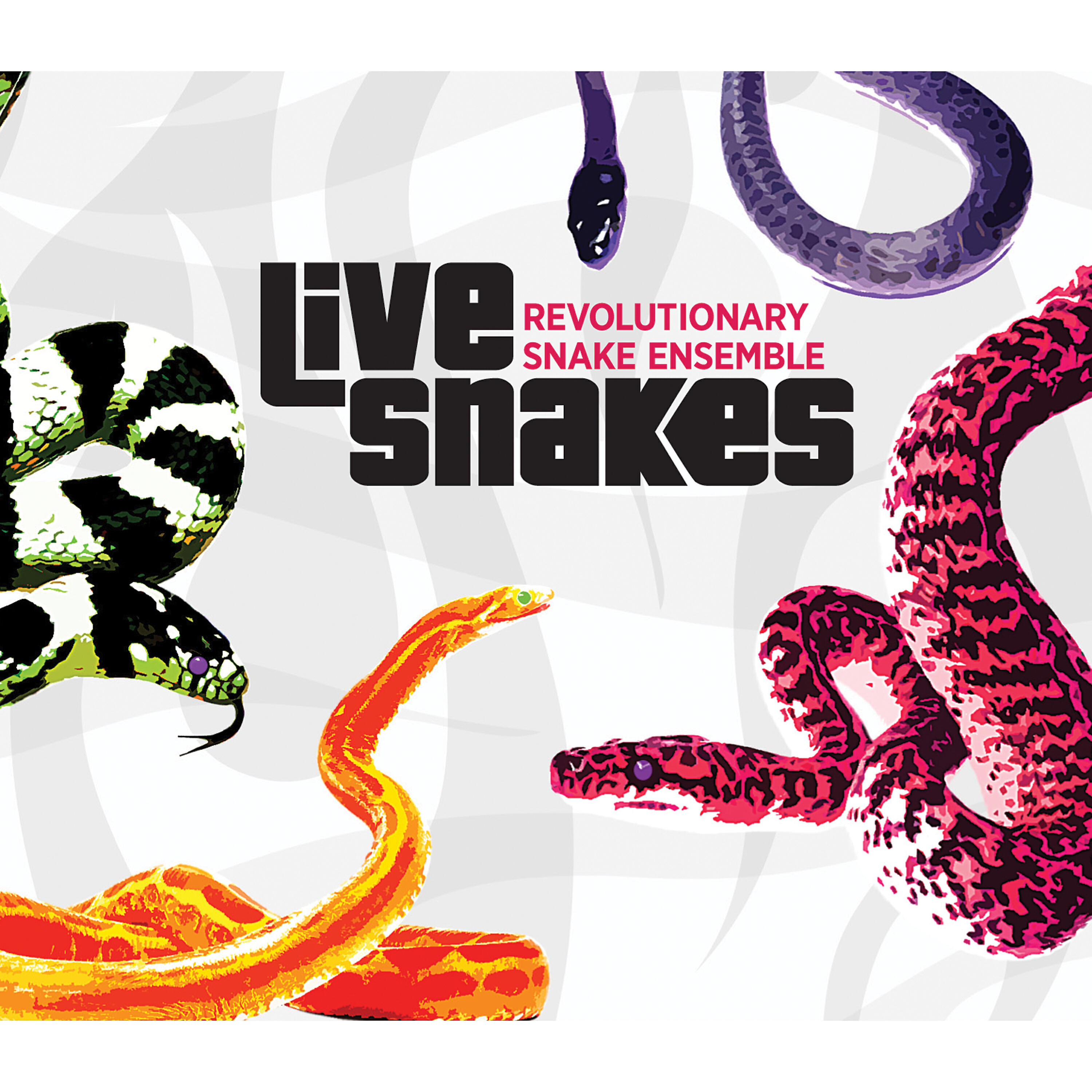Релиз Live Snakes
