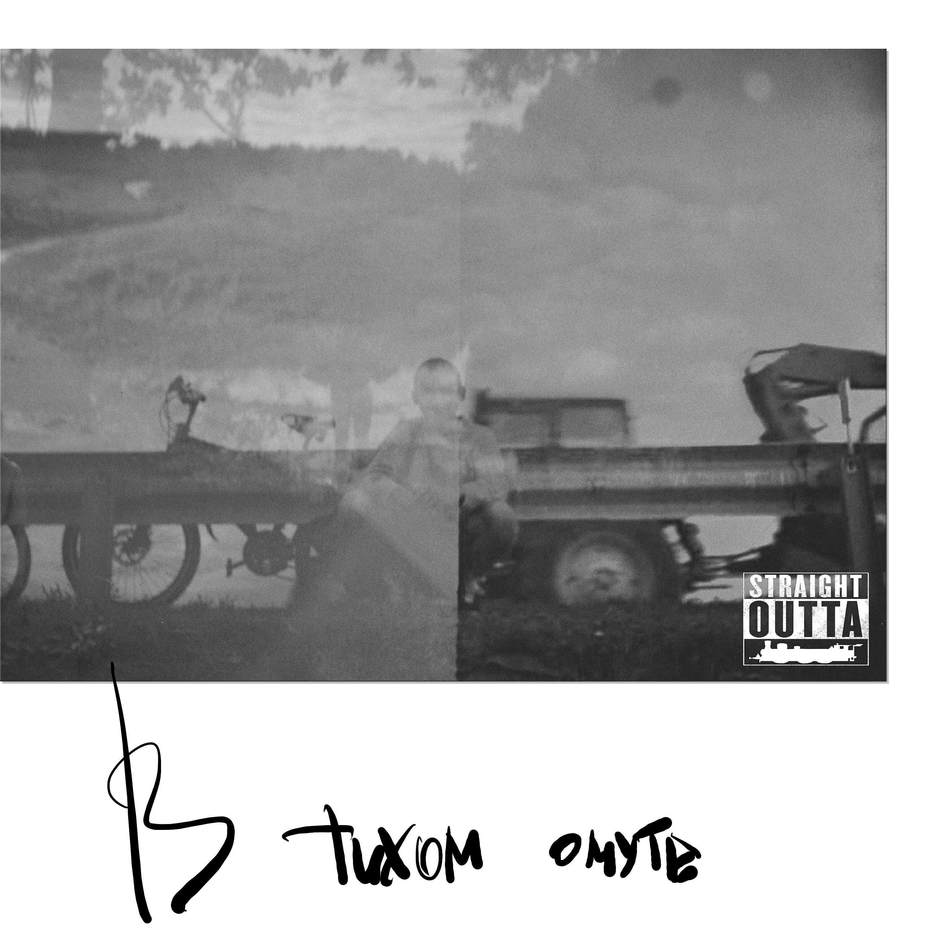 Релиз В тихом омуте