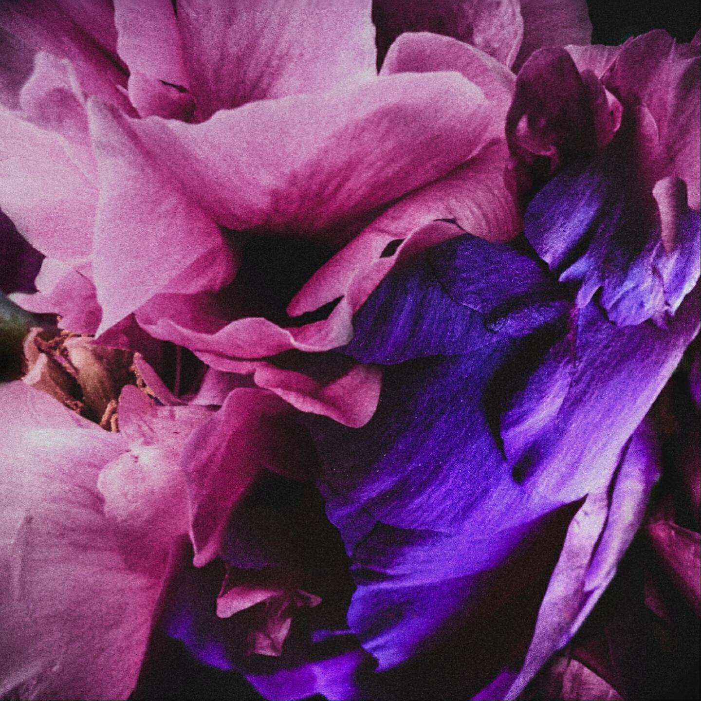 Ruin Of Romantics