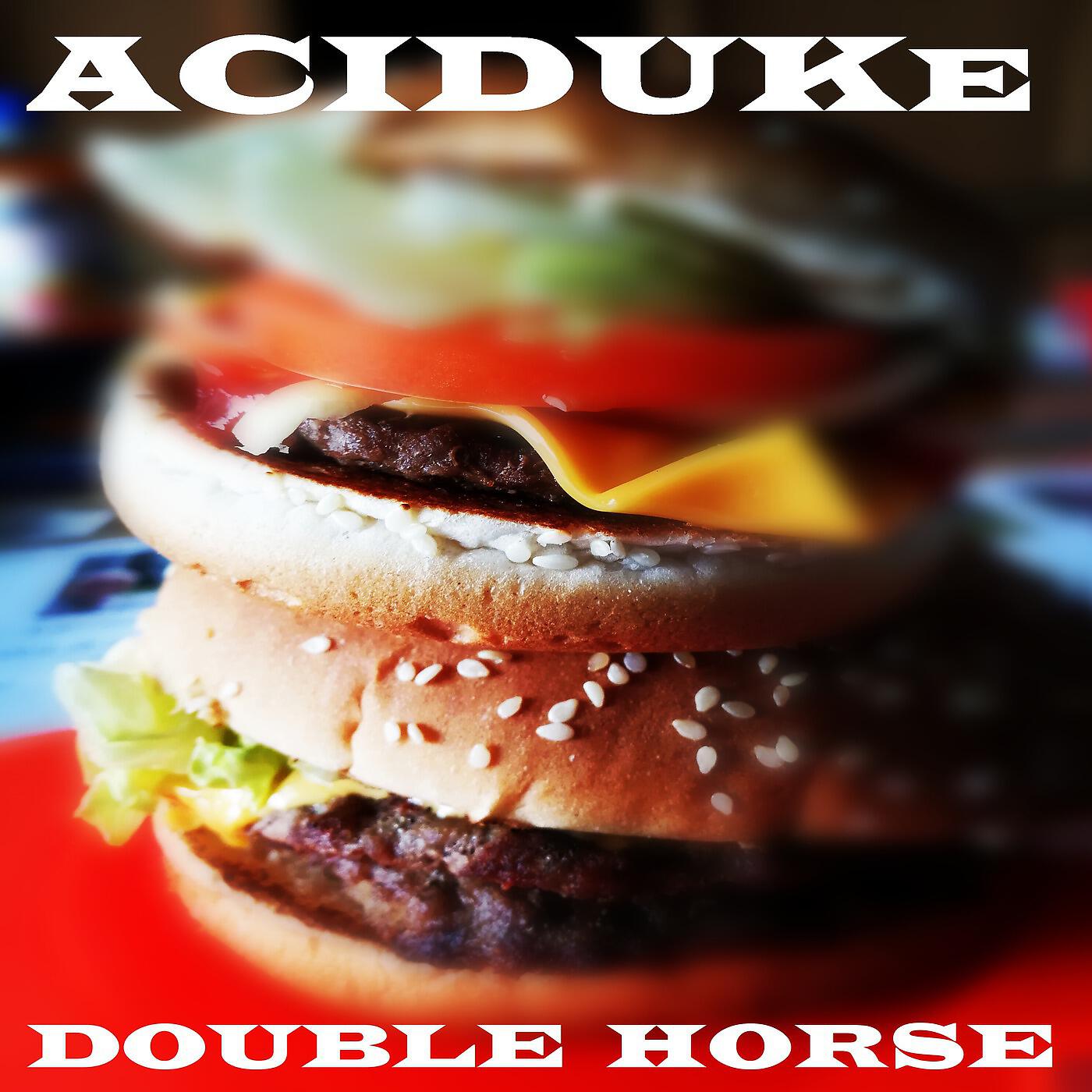 Релиз Double Horse