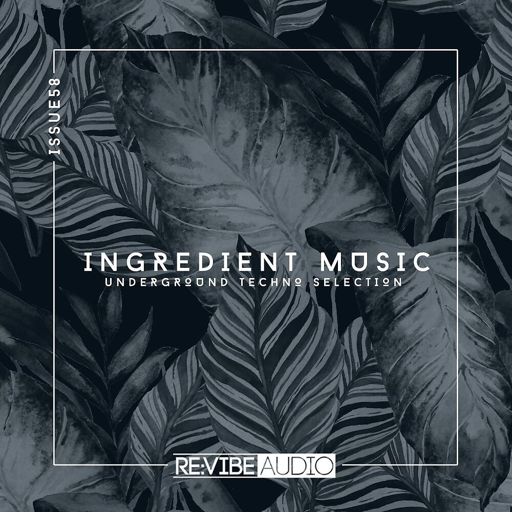 Постер альбома Ingredient Music, Vol. 58