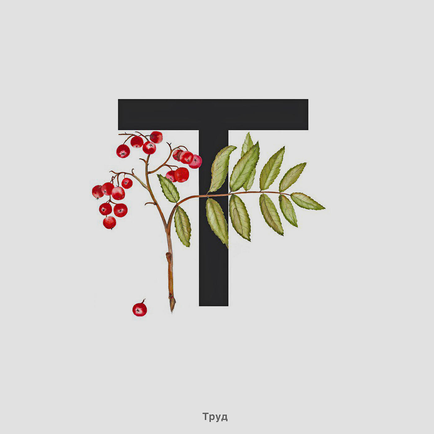 Релиз 7