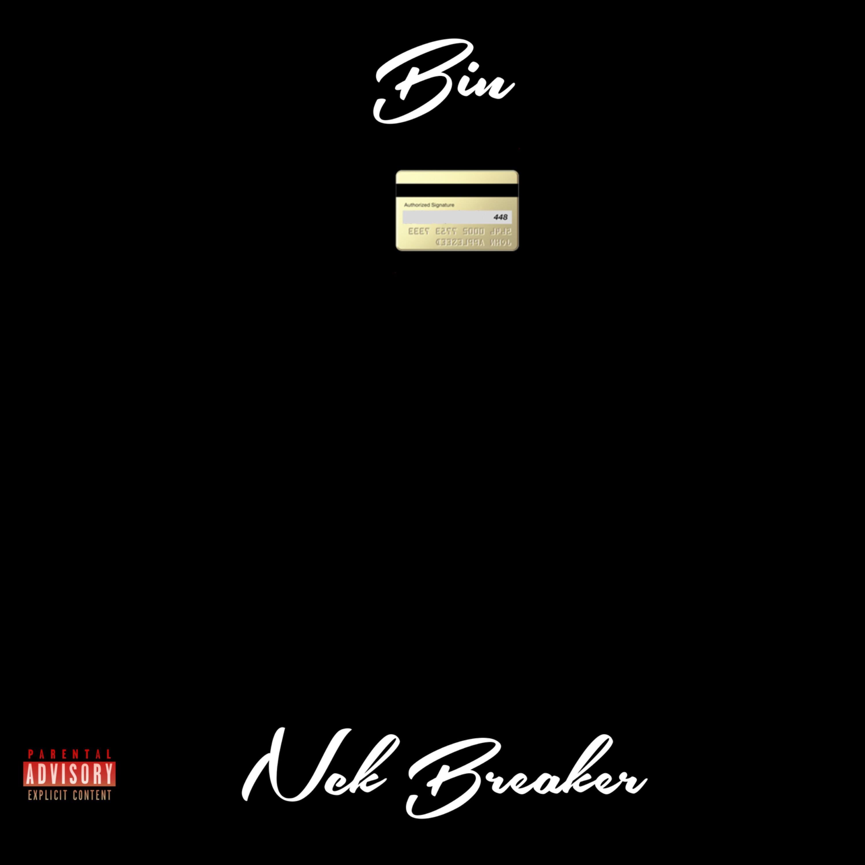 Релиз Bin
