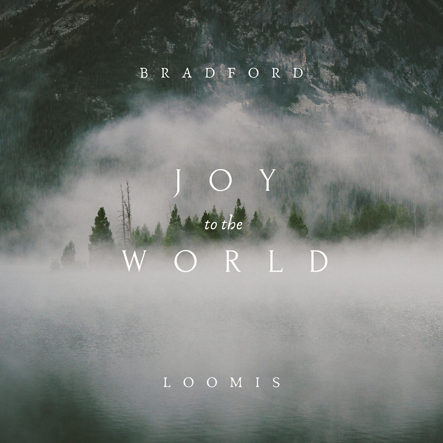Релиз Joy to the World