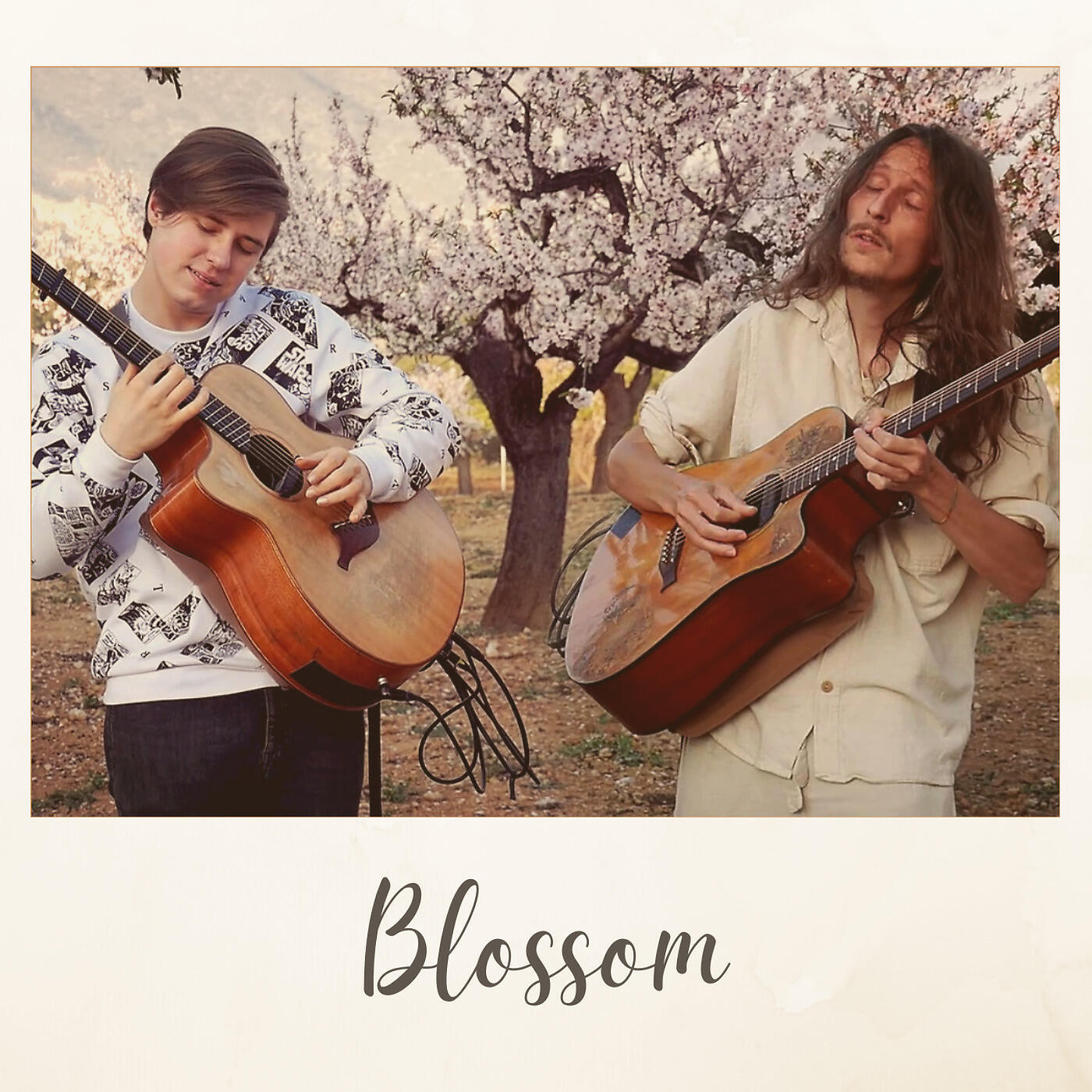 Релиз Blossom