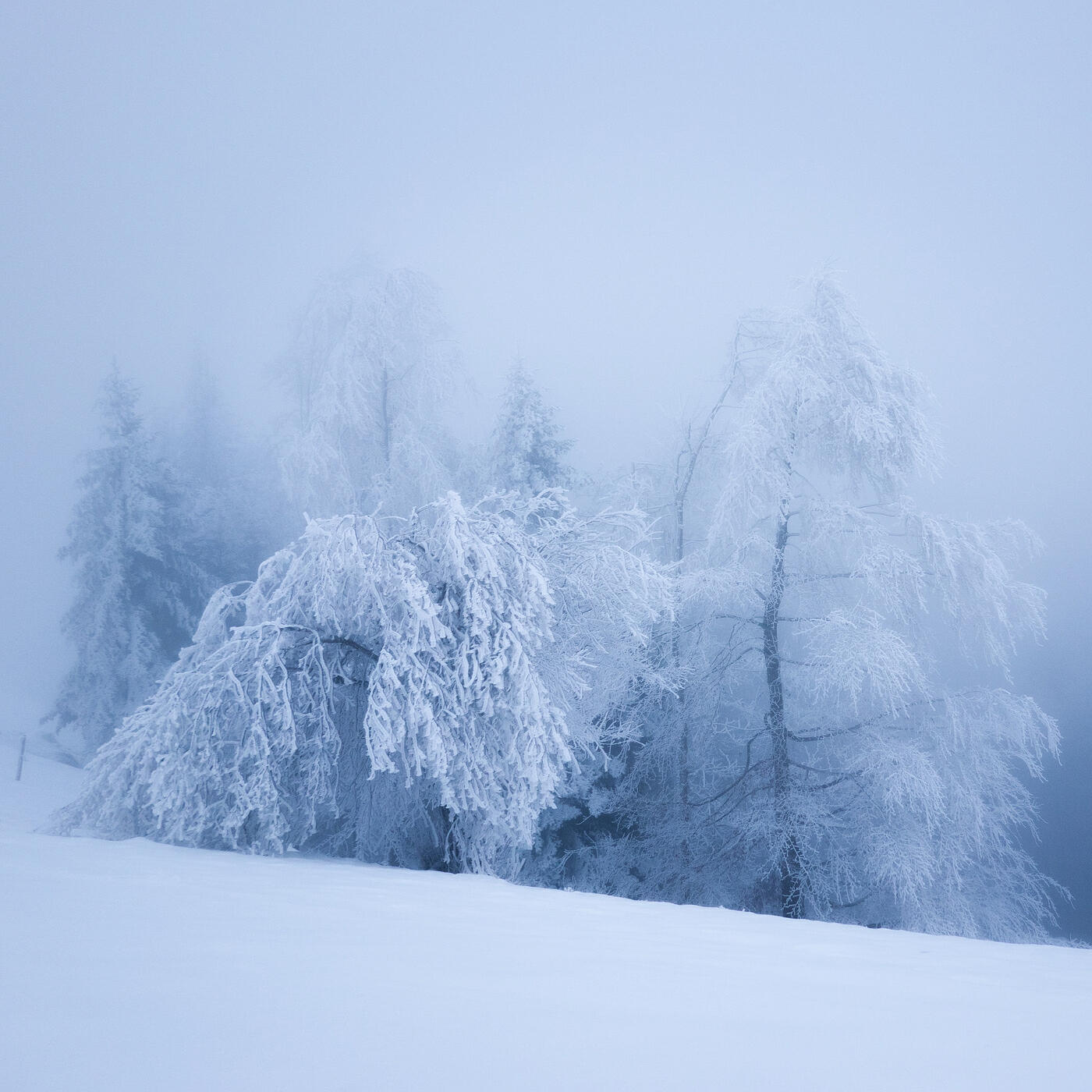 Релиз Winter Solace