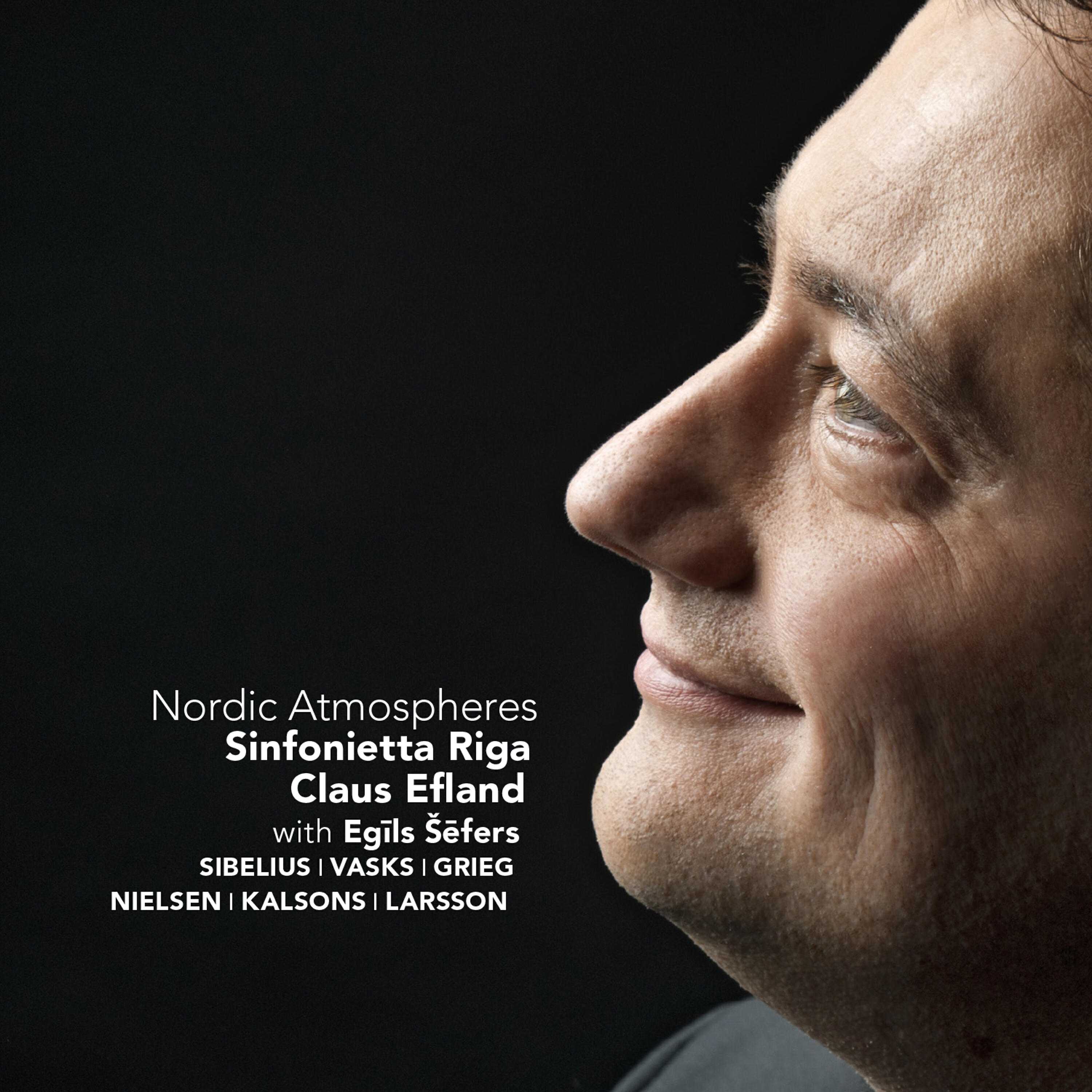 Релиз Nordic Atmospheres