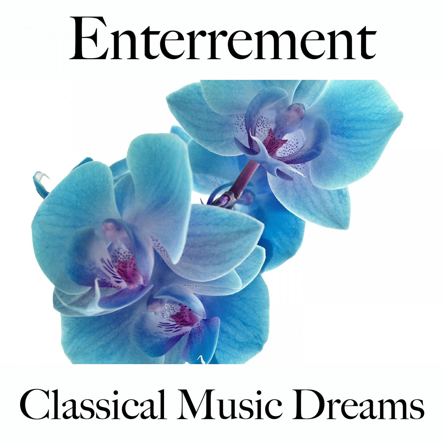 Релиз Enterrement: Classical Music Dreams - Les Meilleurs Sons Pour Faire La Fête