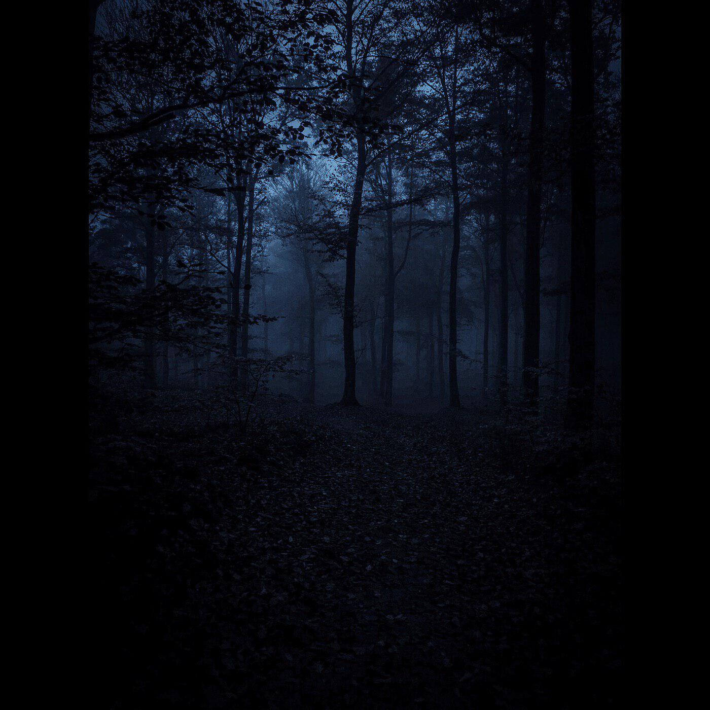 Релиз I'm in Silent Hill but Its 3am