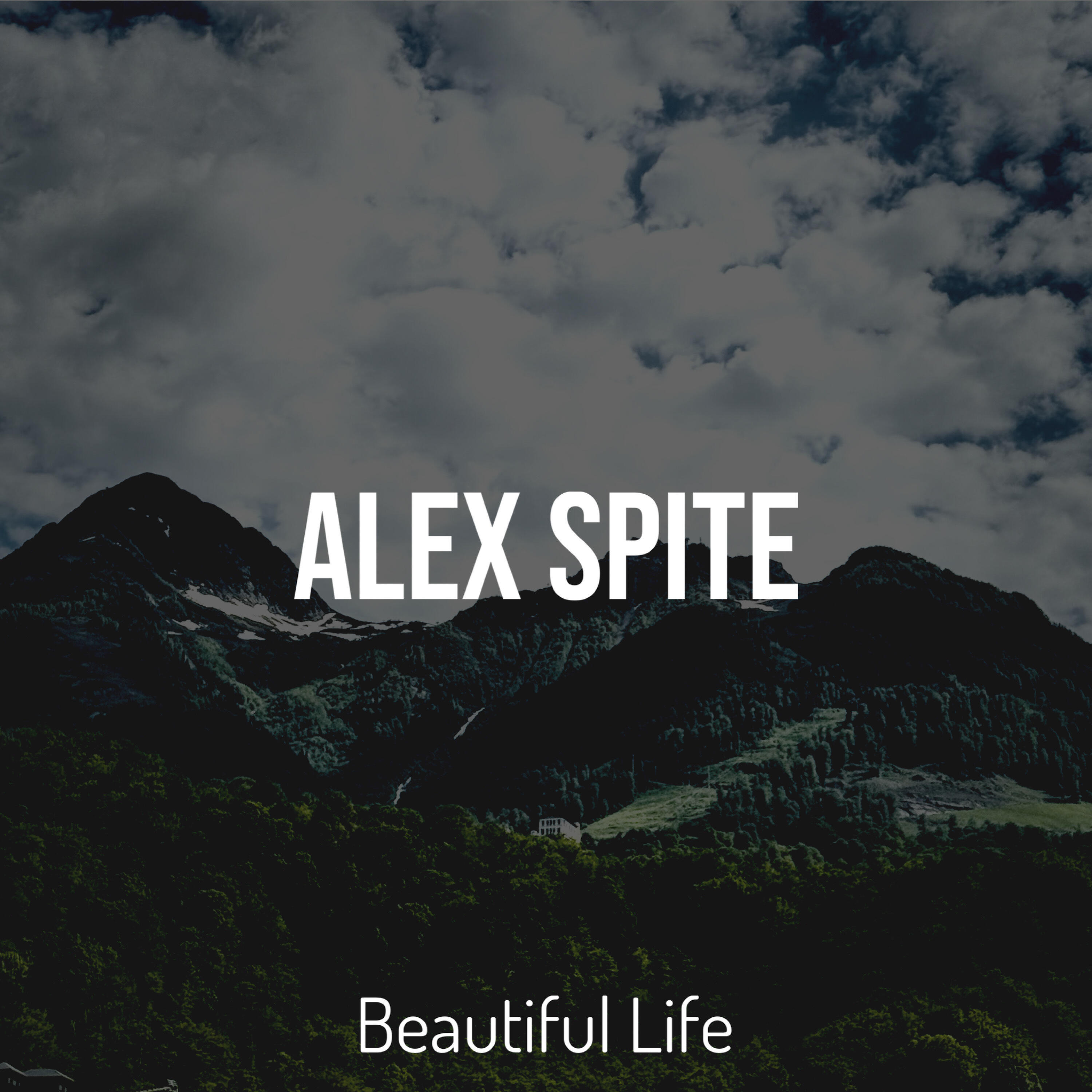 Релиз Beautiful Life