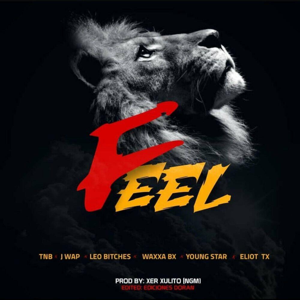 Релиз Feel